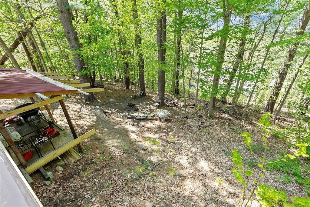 29 Warwick Road Gardner, MA 01440 - Photo 8 of 31 a view of a yard with plants and a trees