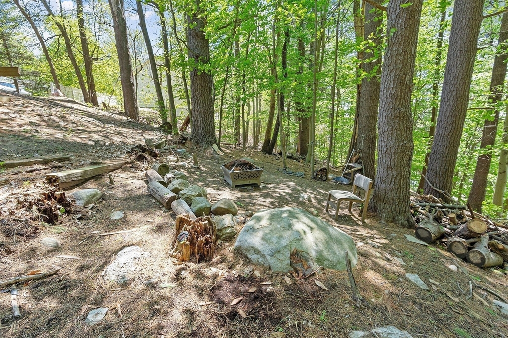29 Warwick Road Gardner, MA 01440 - Photo 9 of 31 a view of backyard with green space