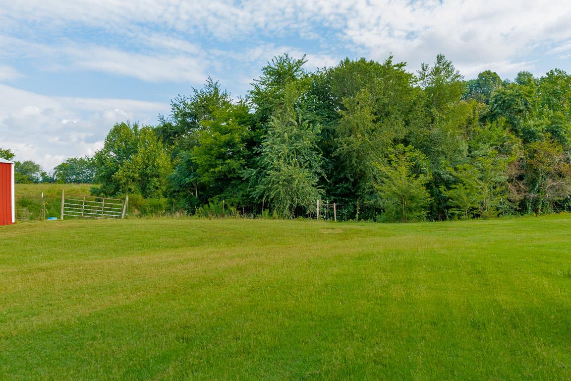 3507 Anderson Road Cedar Hill, TN 37032 - Photo 28 of 30 a view of a field with a trees in the background
