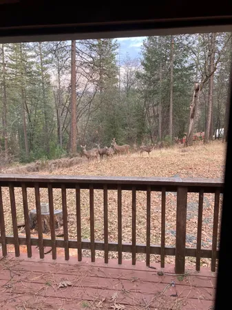 a view of a backyard of the house