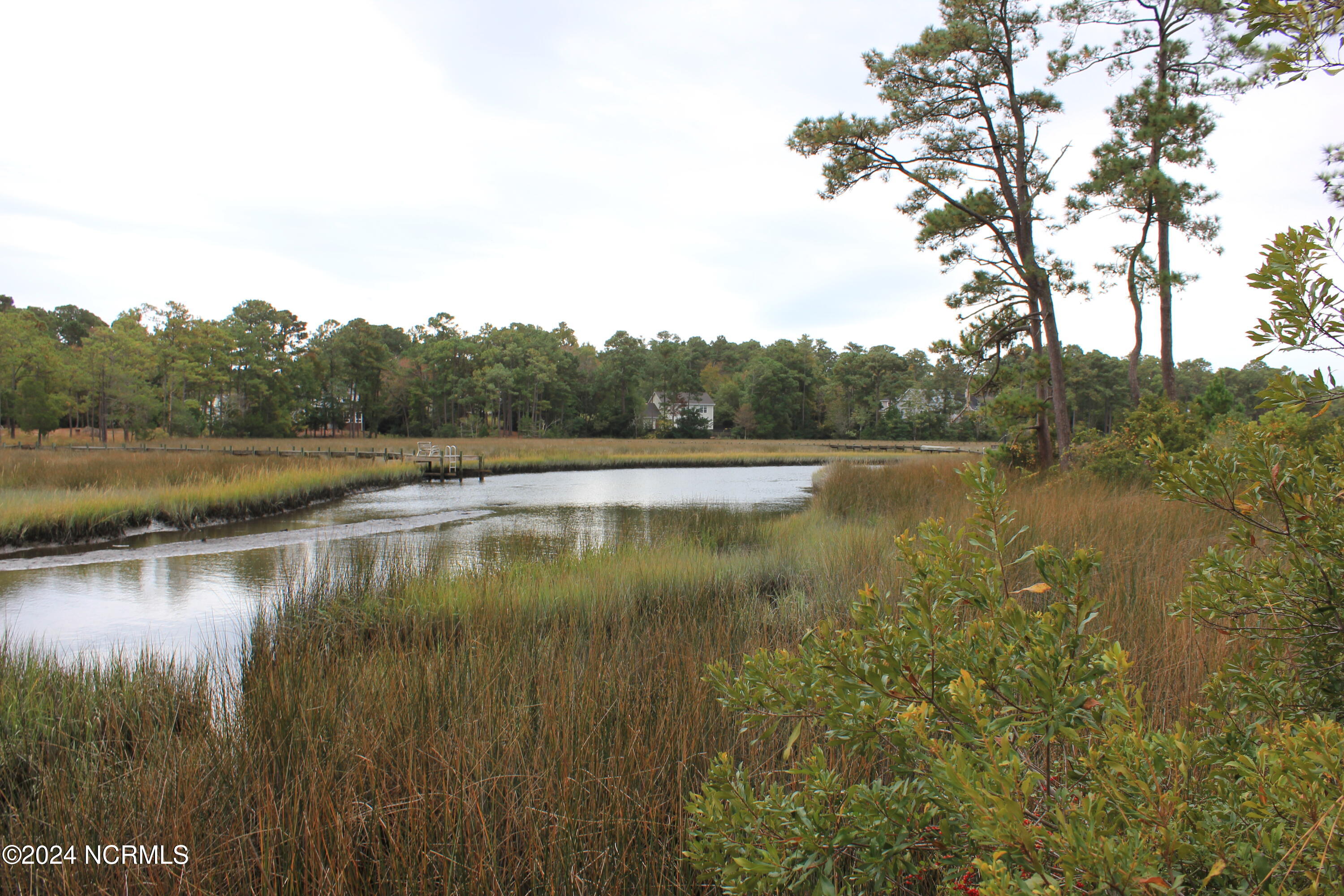407 Salt Creek Road Swansboro, NC 28584 - Photo 15 of 26 IMG_7591