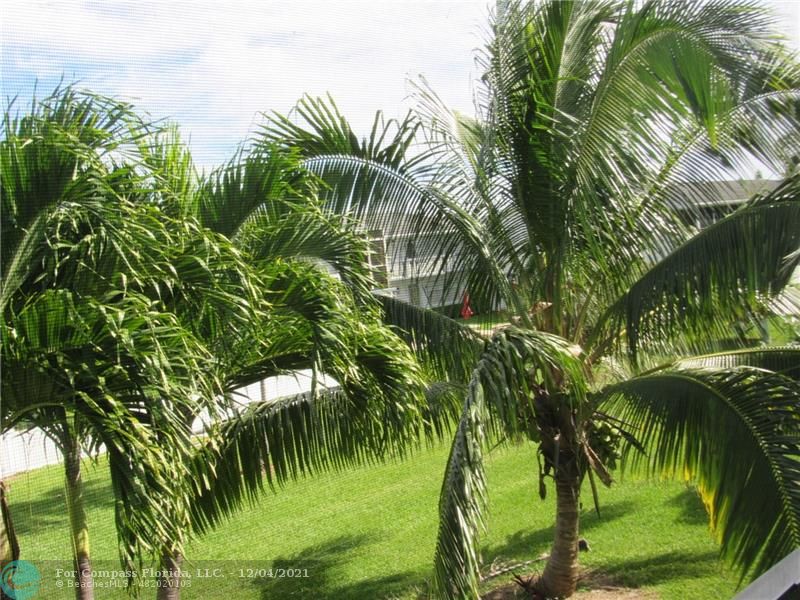 287 Markham M, Unit 287 Deerfield Beach, FL 33442 - Photo 12 of 64 a view of a garden