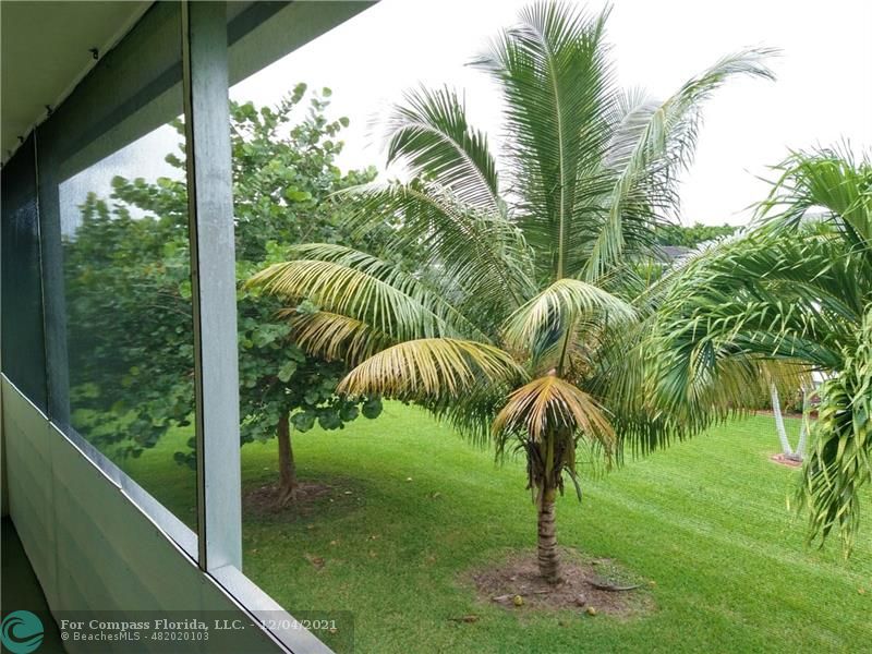 287 Markham M, Unit 287 Deerfield Beach, FL 33442 - Photo 37 of 64 a view of swimming pool from a window