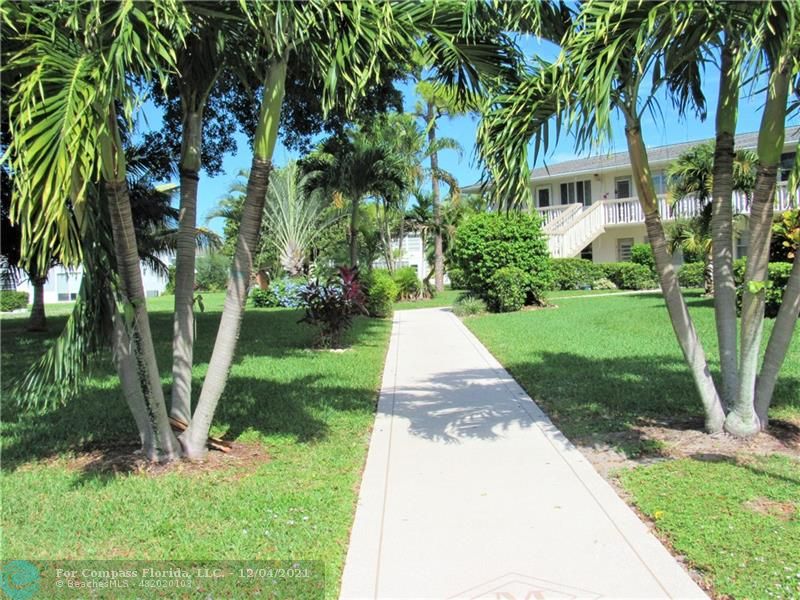287 Markham M, Unit 287 Deerfield Beach, FL 33442 - Photo 7 of 64 a view of a yard with palm trees