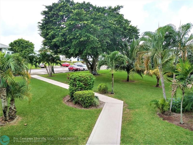 287 Markham M, Unit 287 Deerfield Beach, FL 33442 - Photo 64 of 64 a view of a garden with a tree