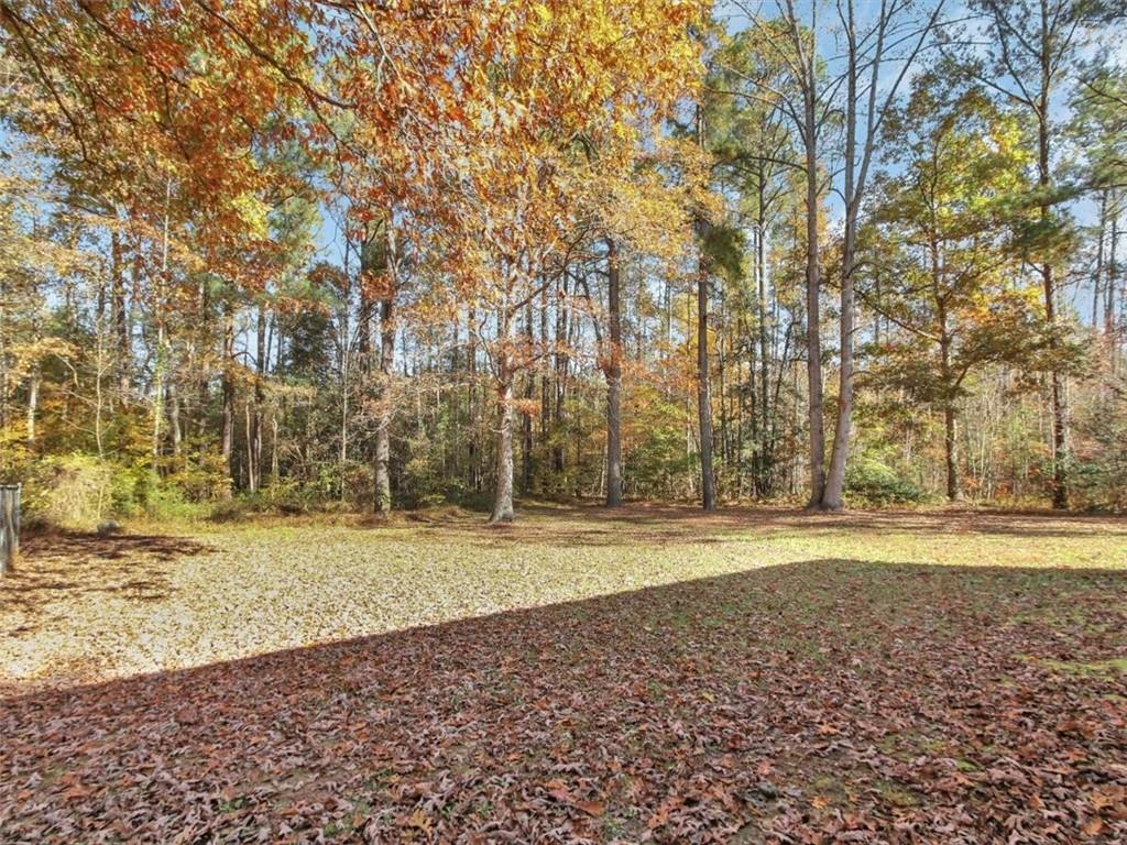 11477 Jerusalem Plank Road Waverly, VA 23890 - Photo 21 of 23 Gallery Image 21