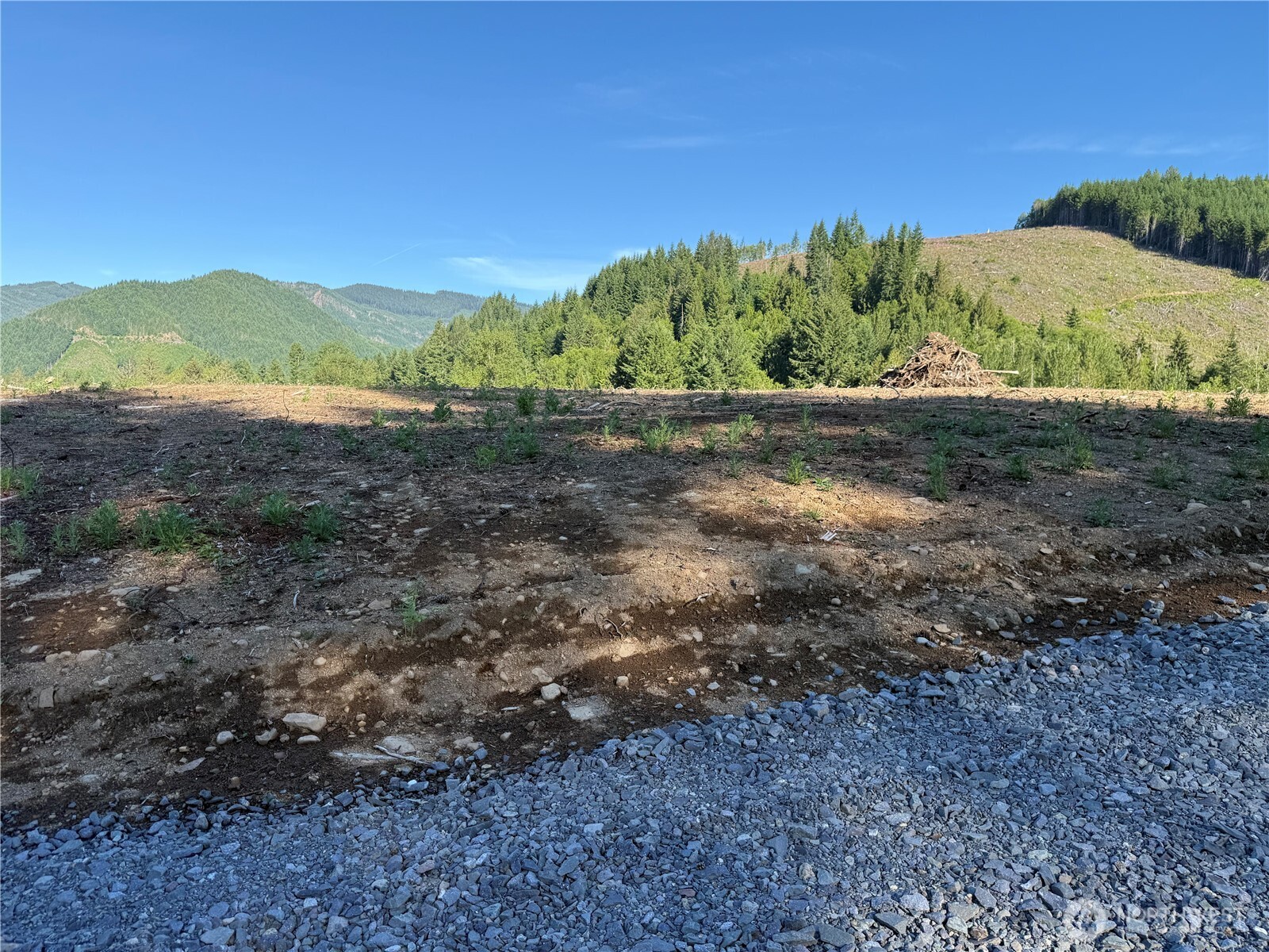 215 Mineral Road North Mineral, WA 98355 - Photo 15 of 29
