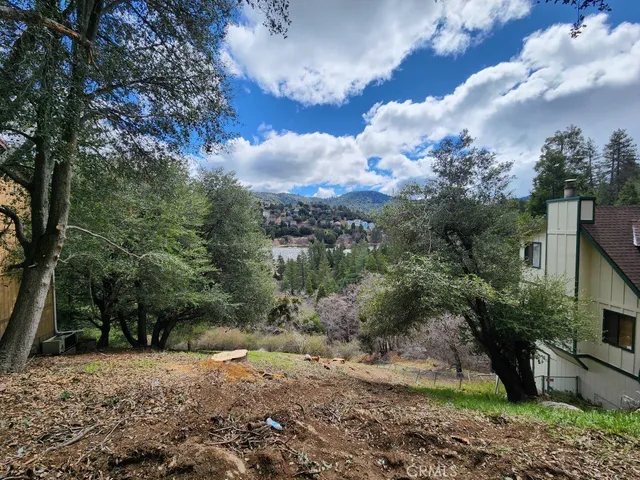 a view of a large yard with lots of green space