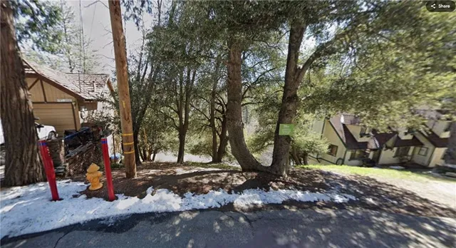 a view of a park with large trees