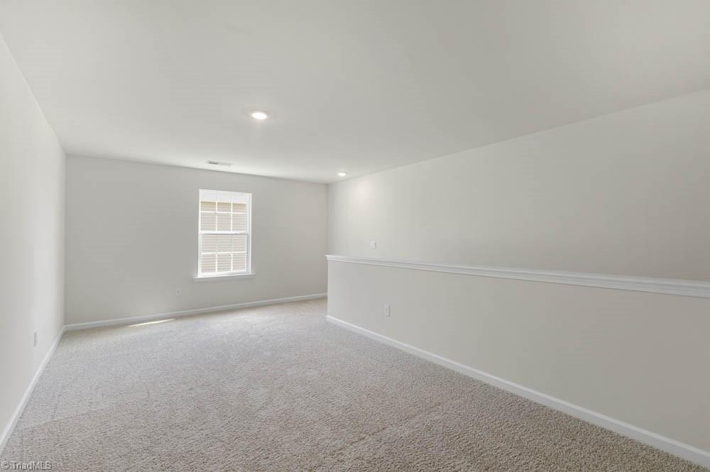 117 Black Willow Road Stokesdale, NC 27357 - Photo 28 of 28 *photos are of model home and are for representational purposes only.