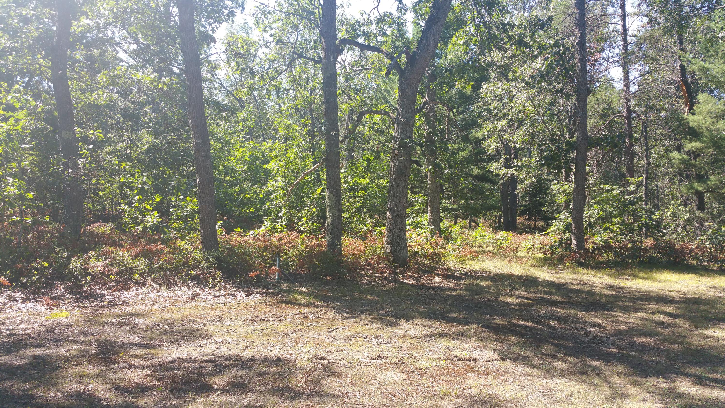 7013 West Doctors Club Road Curran, MI 48728 - Photo 41 of 46 Gallery Image 41