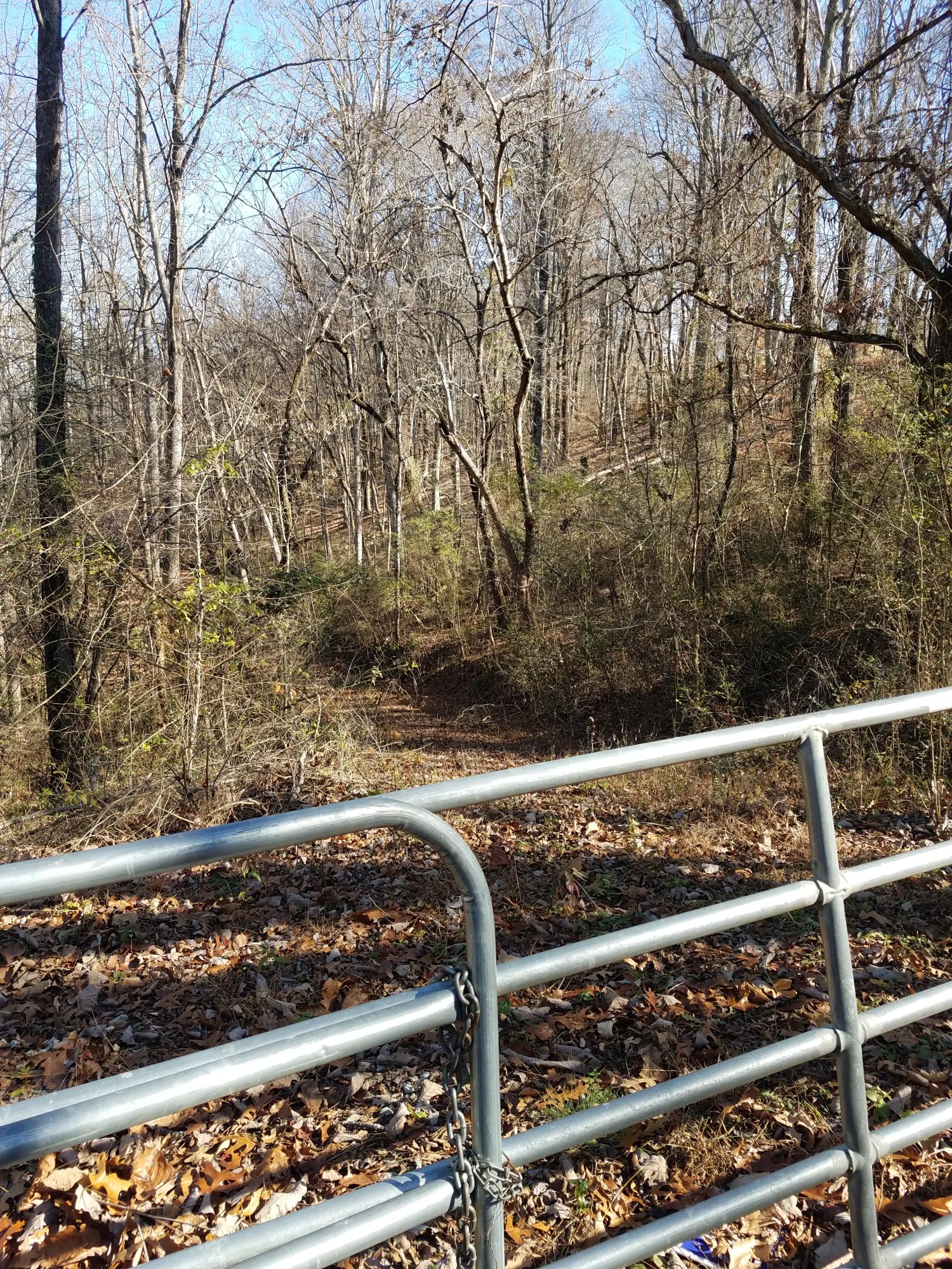 20171203_122945
