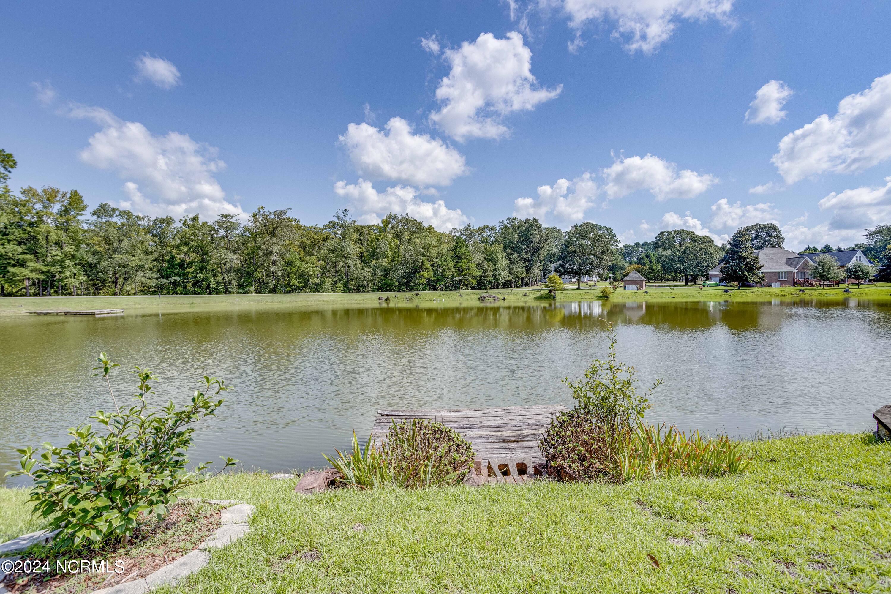 106 Raccoon Run Washington, NC 27889 - Photo 12 of 44 lake view 1