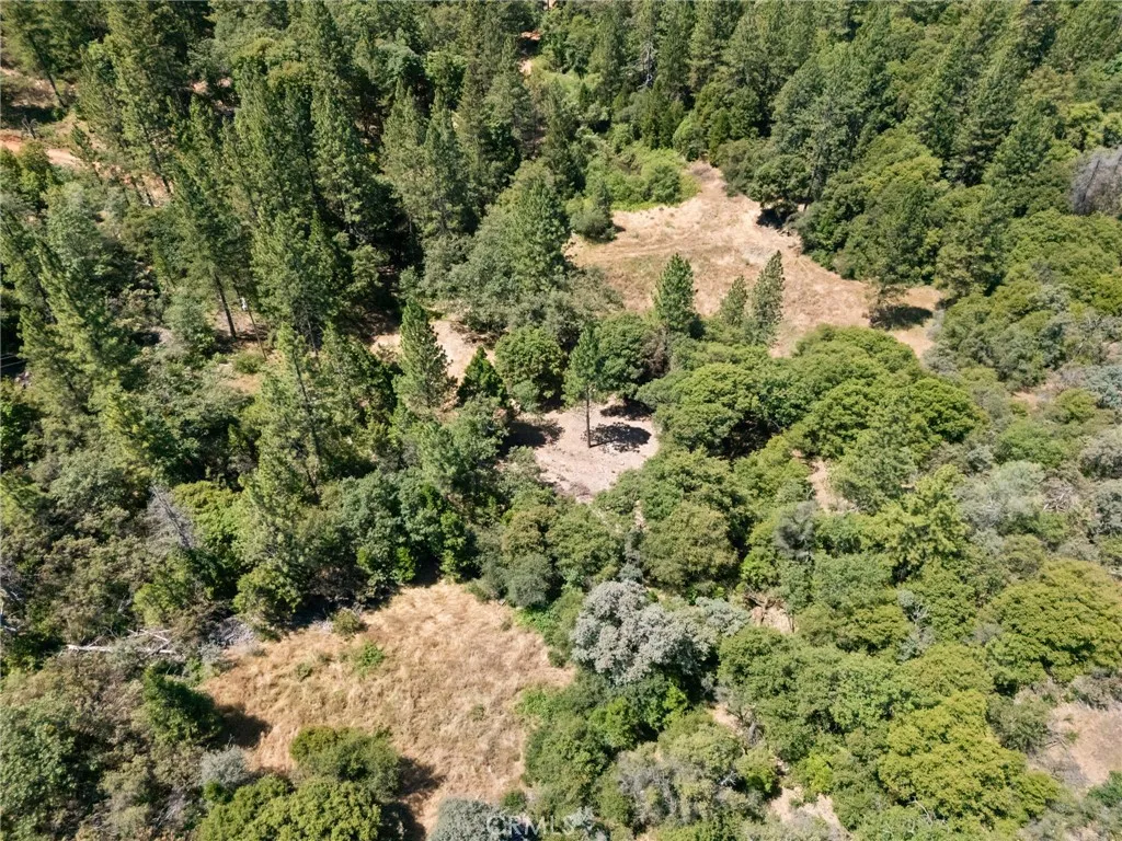 7859 Reed Rackerby, CA 95972 - Photo 7 of 22