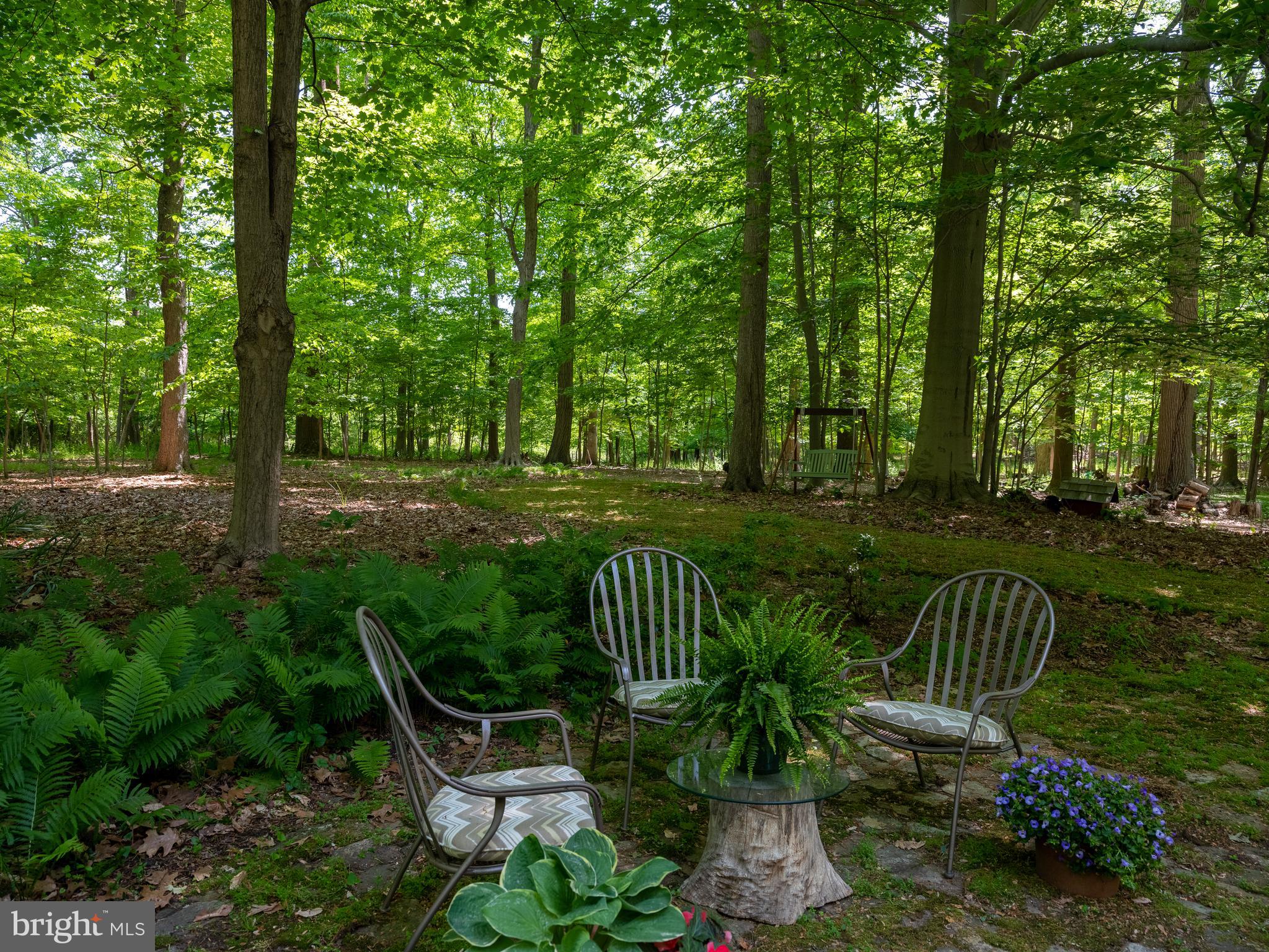 6024 Carversville Road Doylestown, PA 18902 - Photo 35 of 37 Gallery Image 35