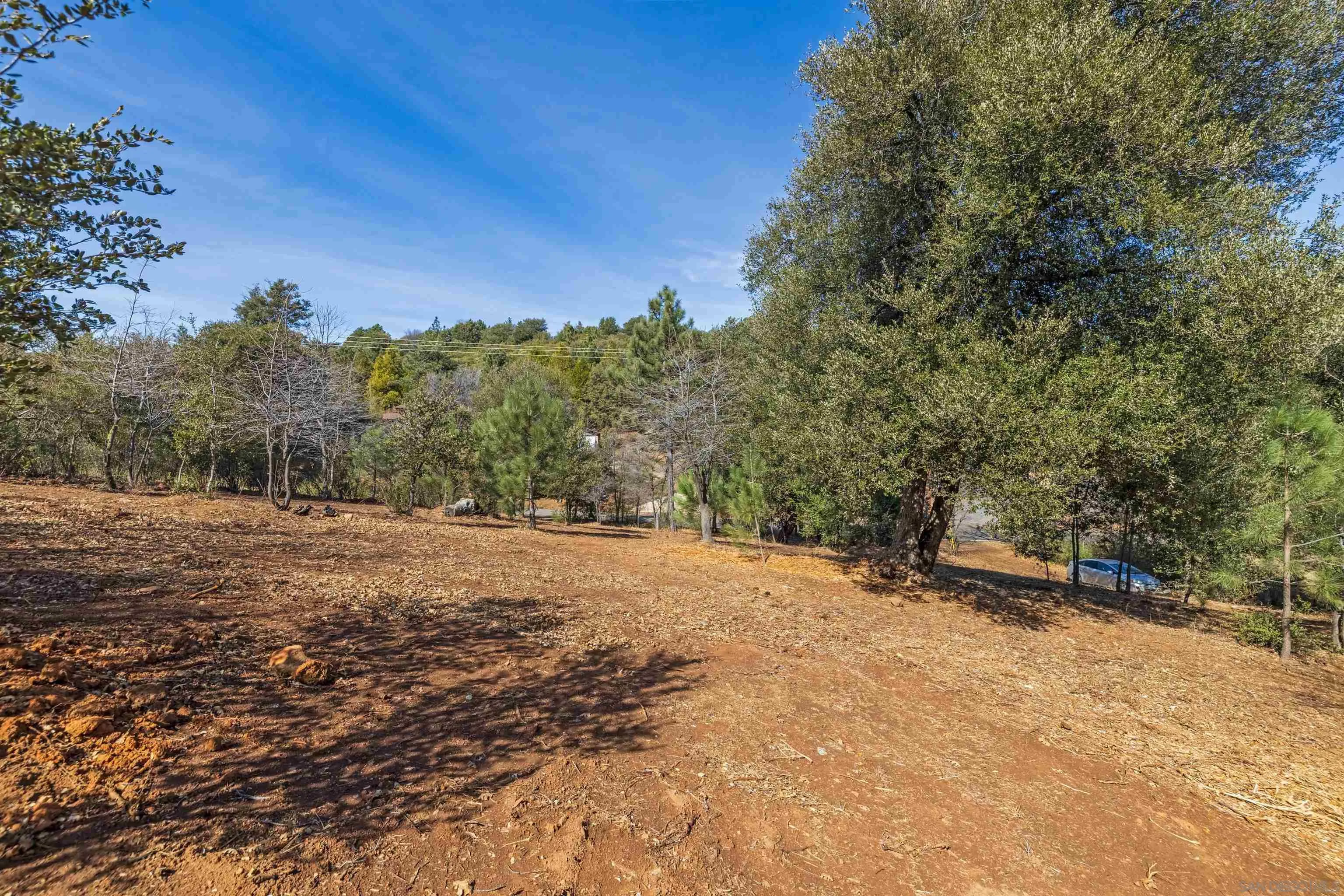 0 Frisius Drive, Unit 42 Julian, CA 92036 - Photo 1 of 12 a view of empty field with trees in background
