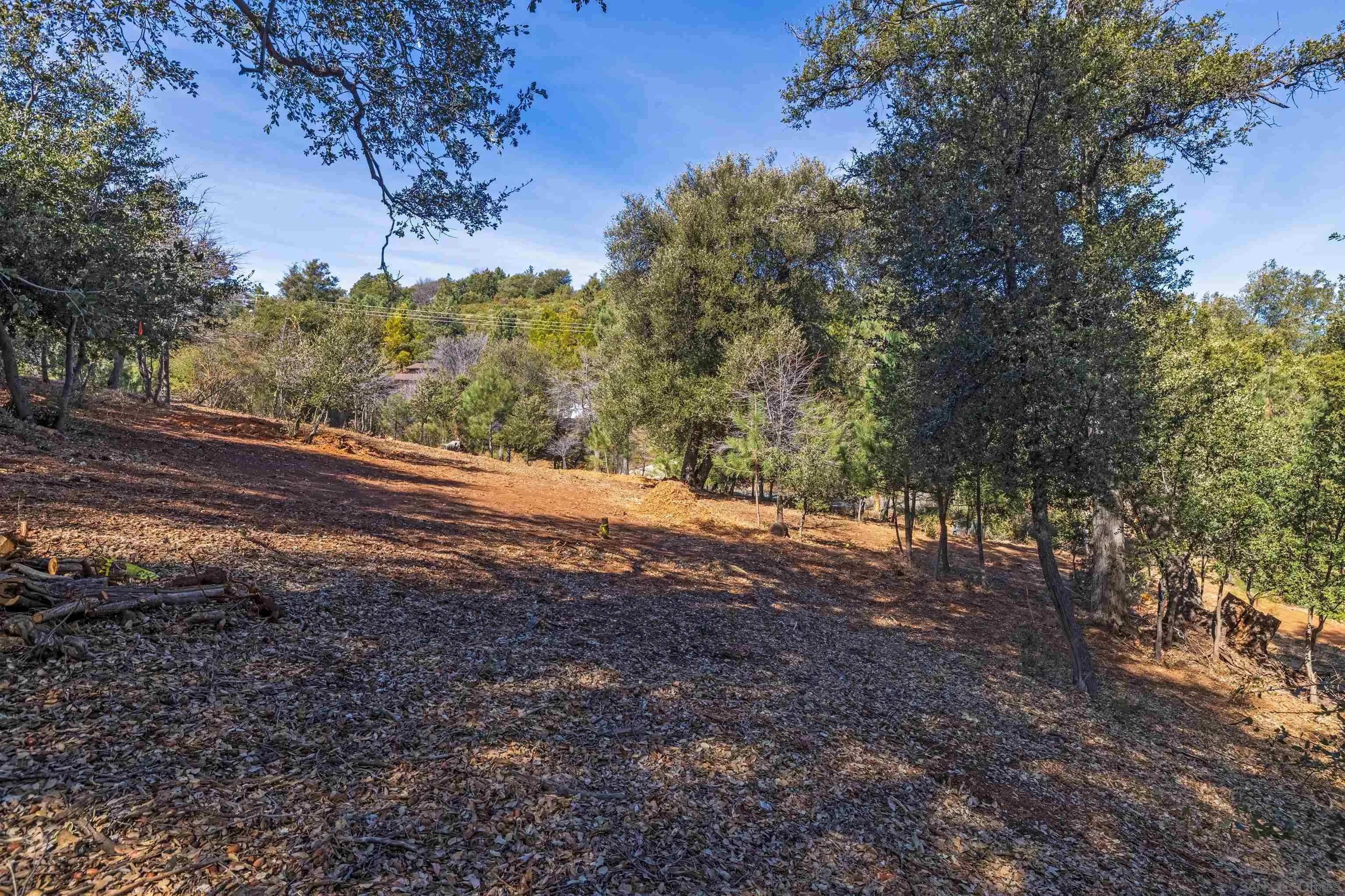 0 Frisius Drive, Unit 42 Julian, CA 92036 - Photo 11 of 12 a view of dirt yard with a large tree