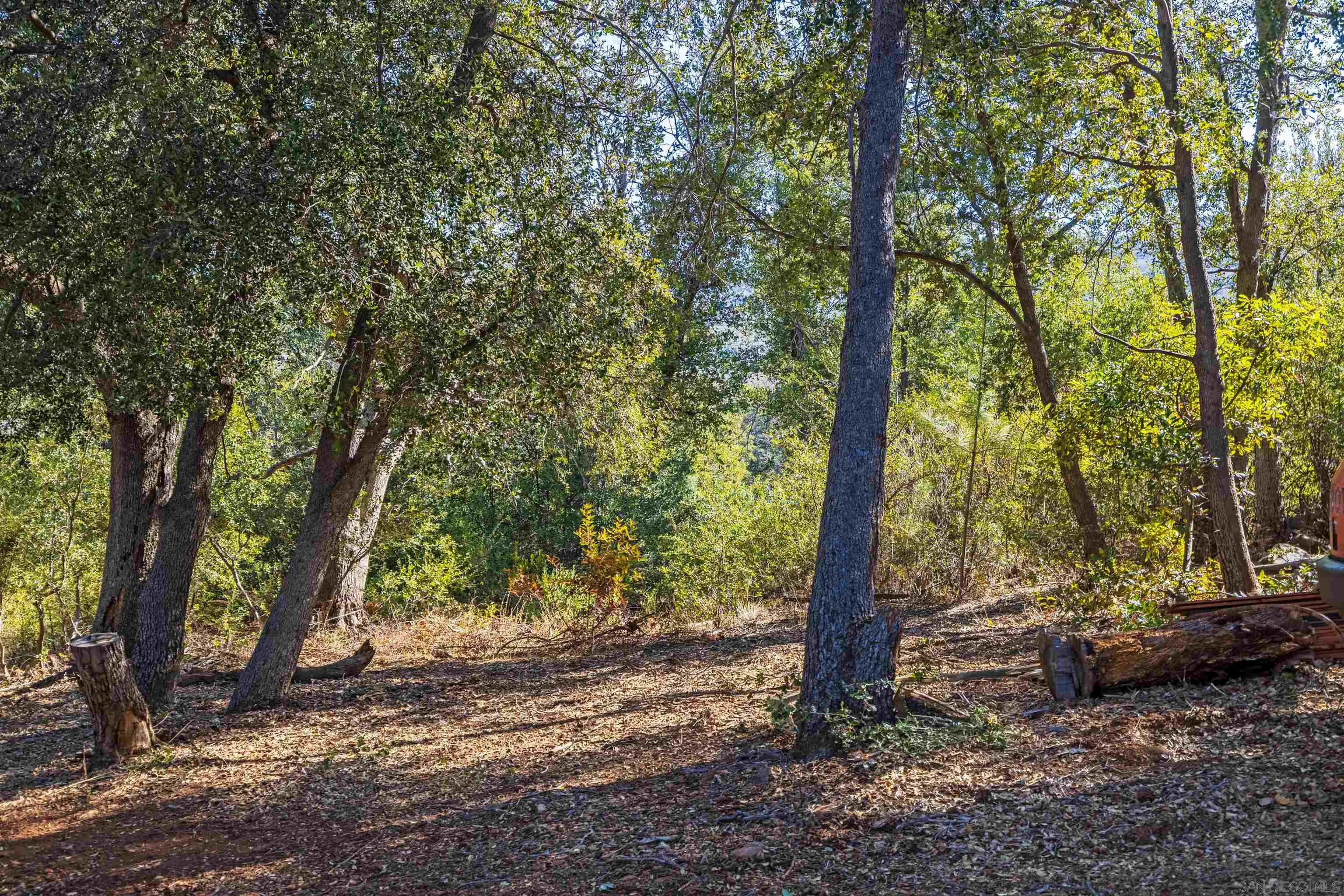 0 Frisius Drive, Unit 42 Julian, CA 92036 - Photo 6 of 12 a view of a forest filled with trees