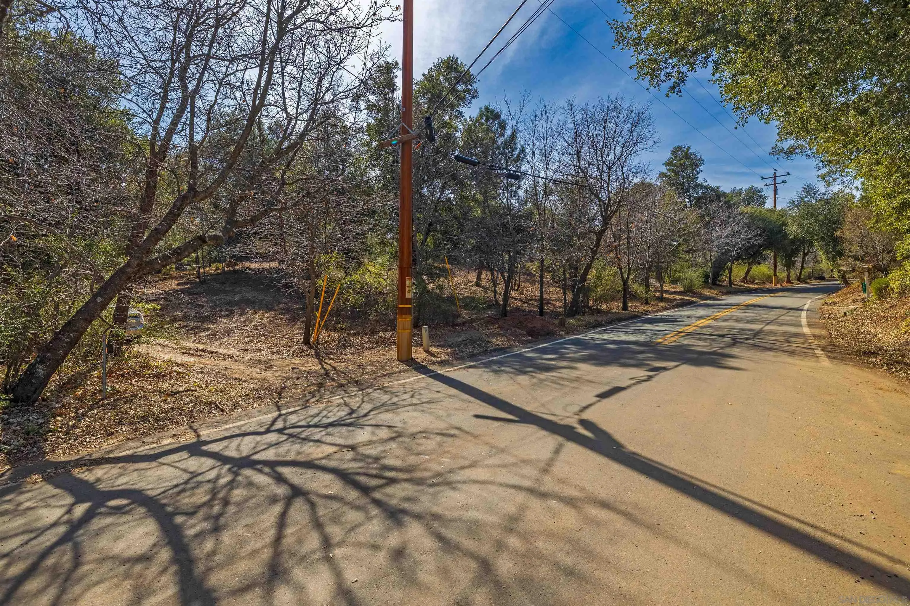 0 Frisius Drive, Unit 42 Julian, CA 92036 - Photo 7 of 12 a view of dirt yard with a large tree