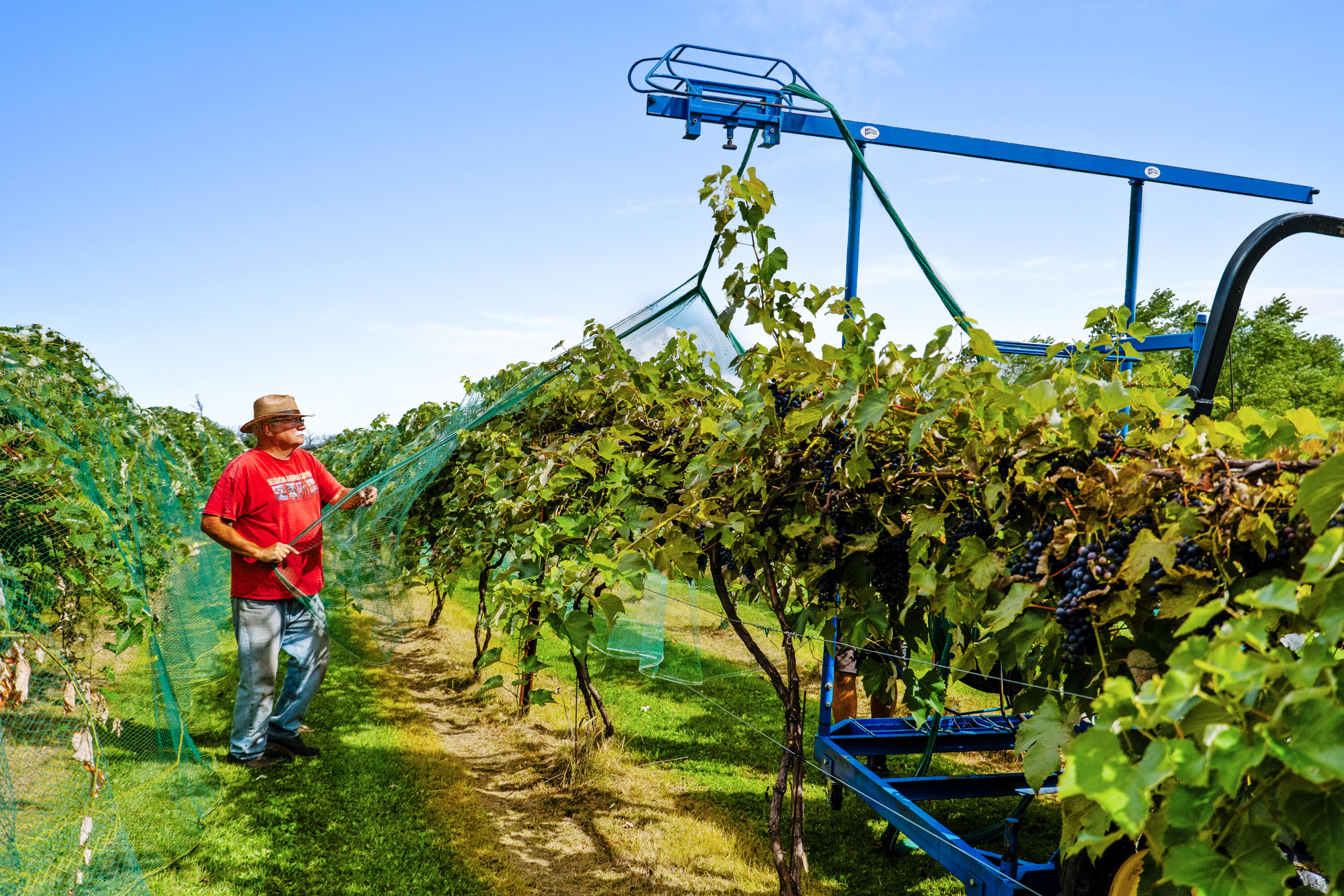8520 South Gass Lake Road Newton, WI 53063 - Photo 10 of 28 Netting