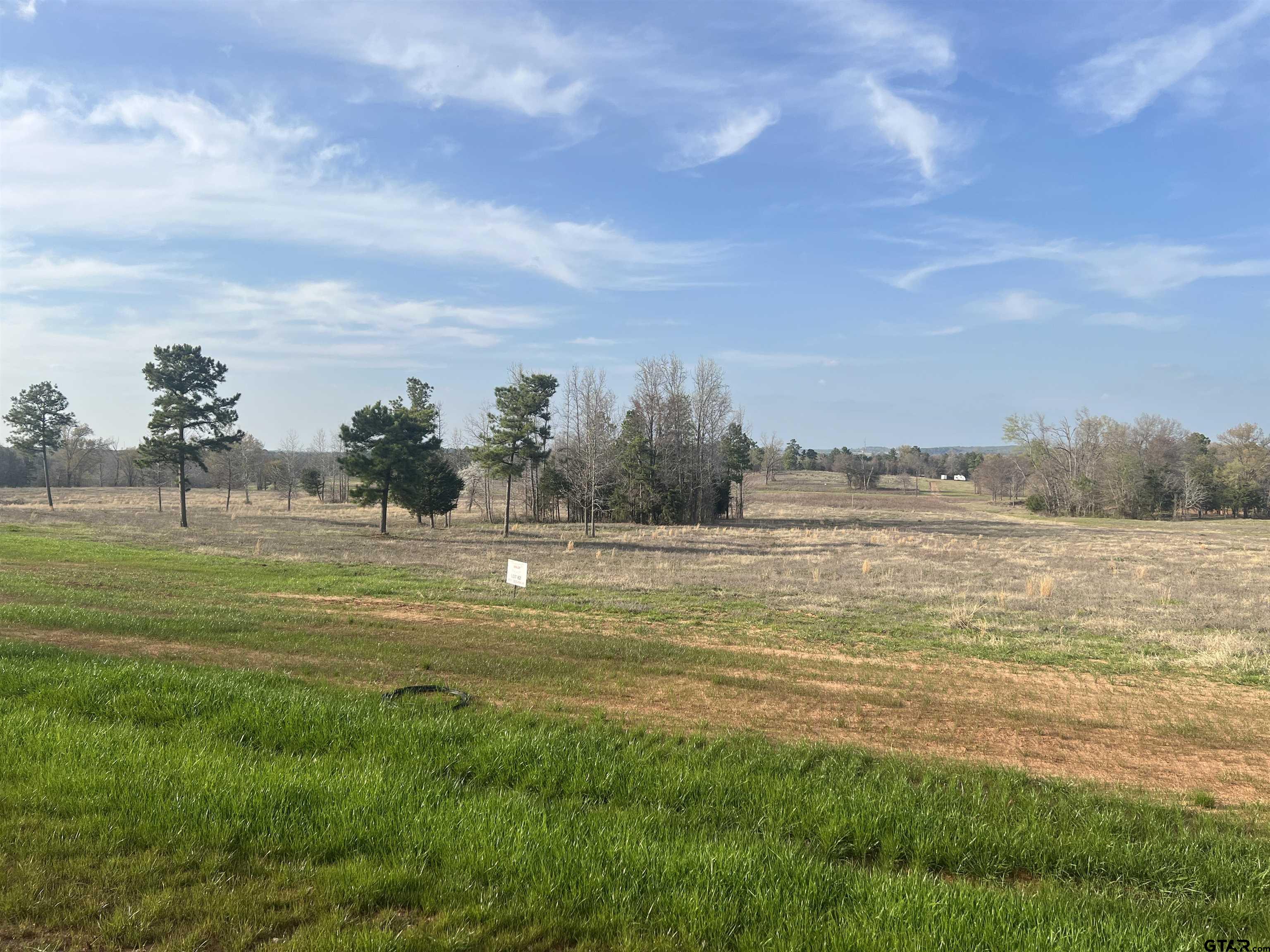 16926 Ridgeline Loop Winona, TX 75792 - Photo 2 of 3