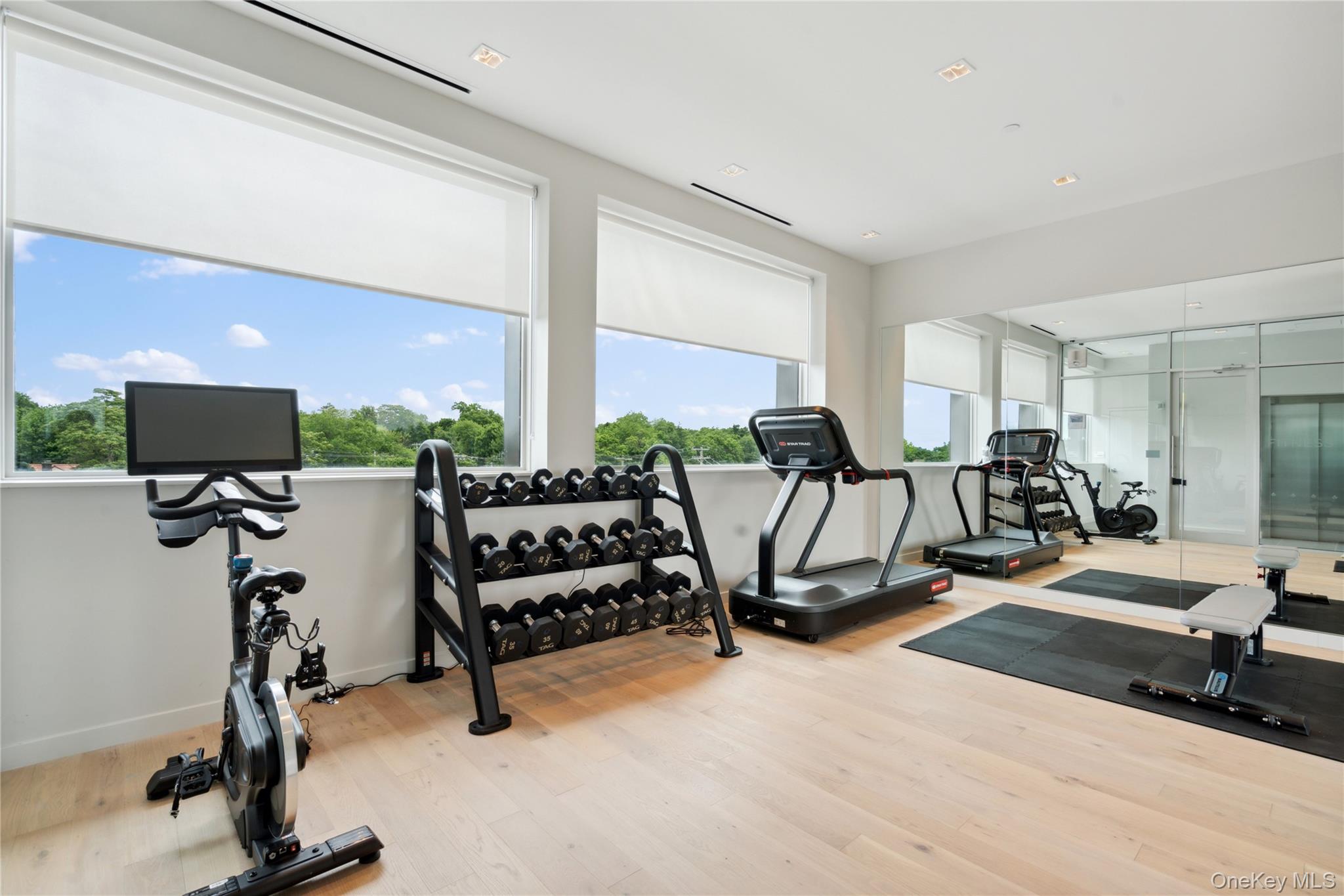 218 Middle Neck Road, Unit 101 Great Neck, NY 11021 - Photo 22 of 37 Exercise room featuring wood finished floors and baseboards