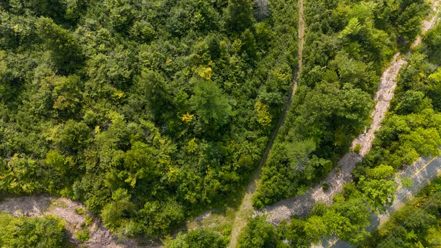 $39,000 | Lot8 Lot8 Bear Brook, Sebec, ME 04481