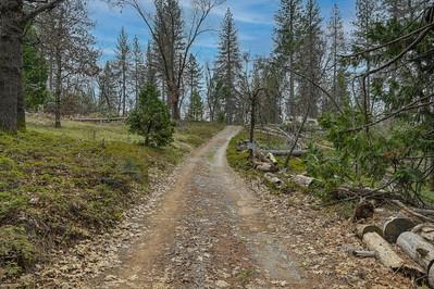 1 Fiddletown Road Volcano, CA 95689 - Photo 3 of 6 a big yard with lots of green space