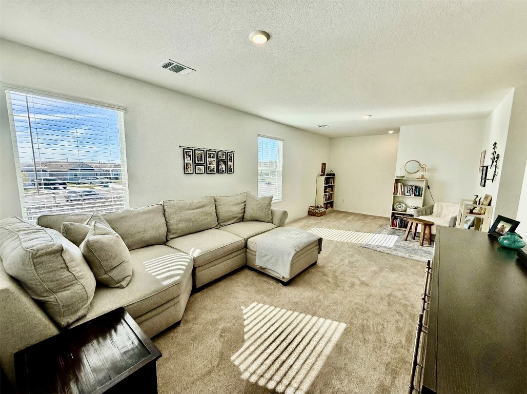 23521 Tiny Moons Way Elgin, TX 78621 - Photo 10 of 19 a living room with furniture and a large window