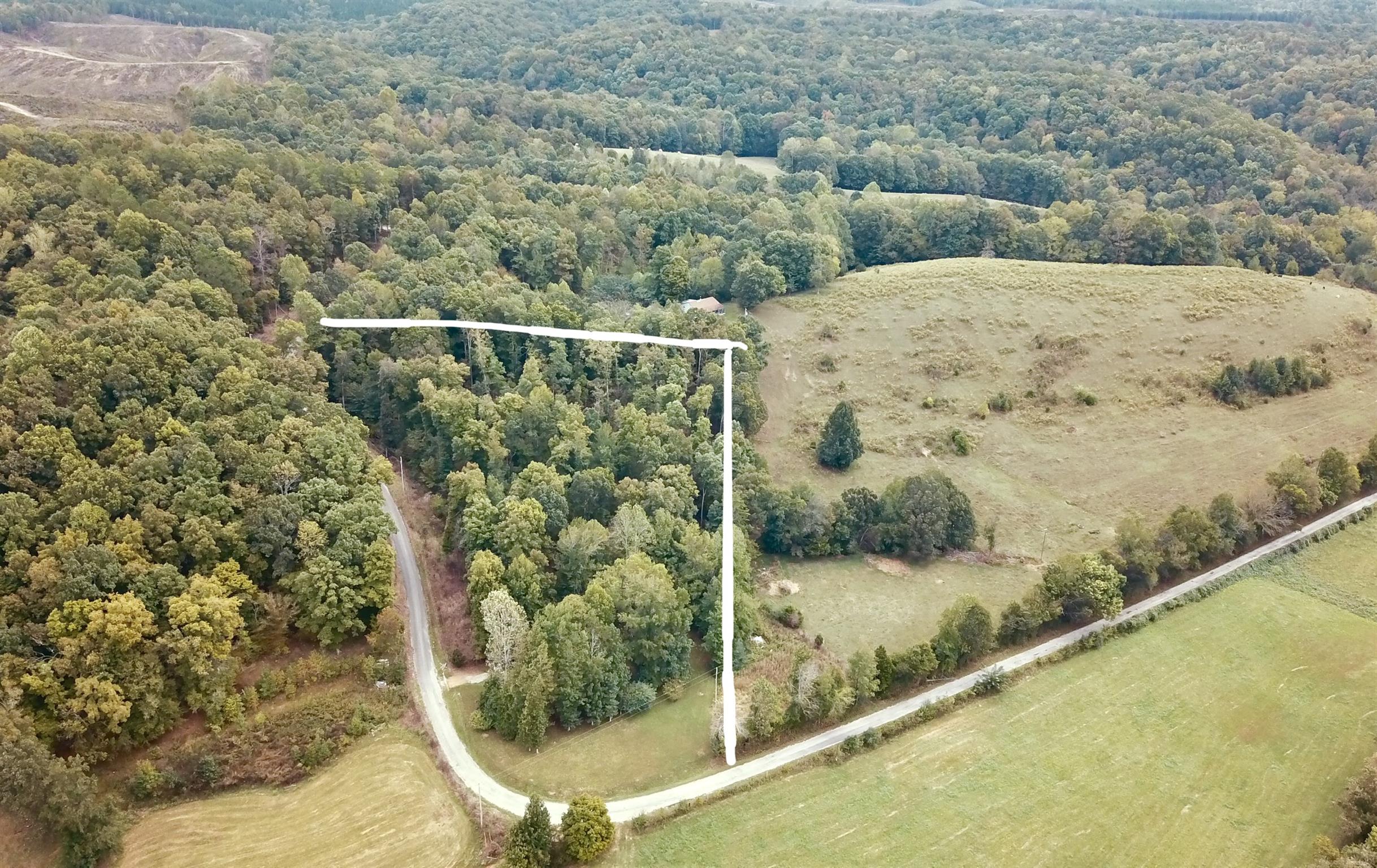 Gallery Image 6