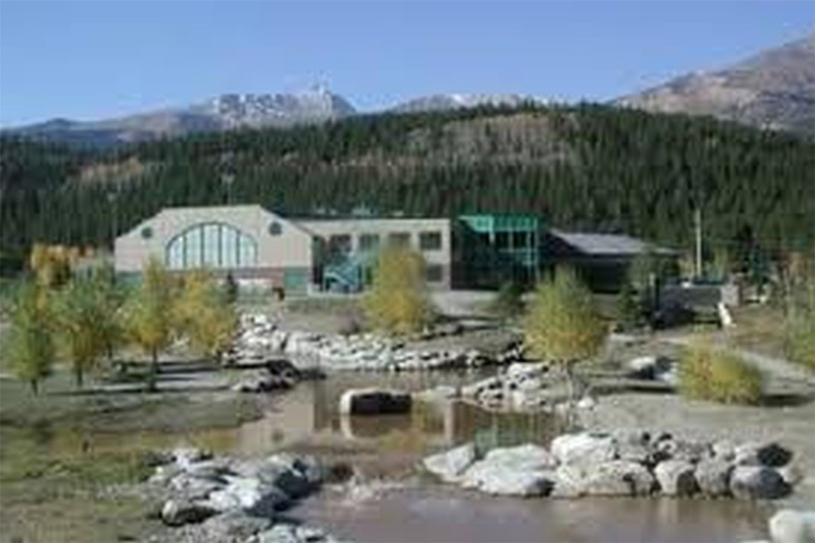 847 Airport Road, Unit 12 Breckenridge, CO 80424 - Photo 20 of 32 a backyard of a house with lots of green space