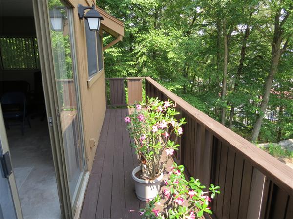 18 Mountain Gate Road, Unit 18 Ashland, MA 01721 - Photo 8 of 12 a wooden floor with some potted plants and wooden fence
