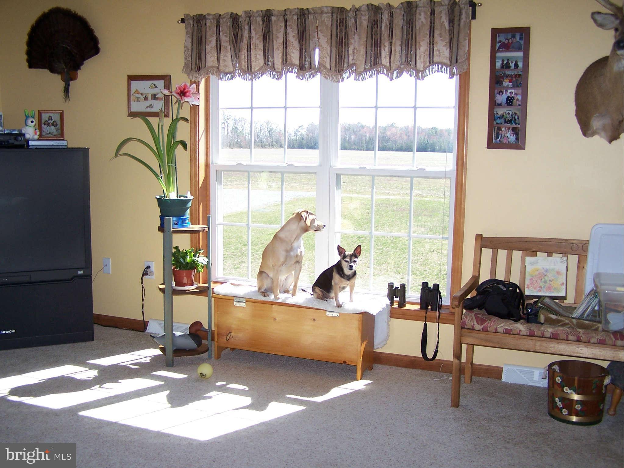 6004 Eldorado Road Rhodesdale, MD 21659 - Photo 21 of 30 Family Room