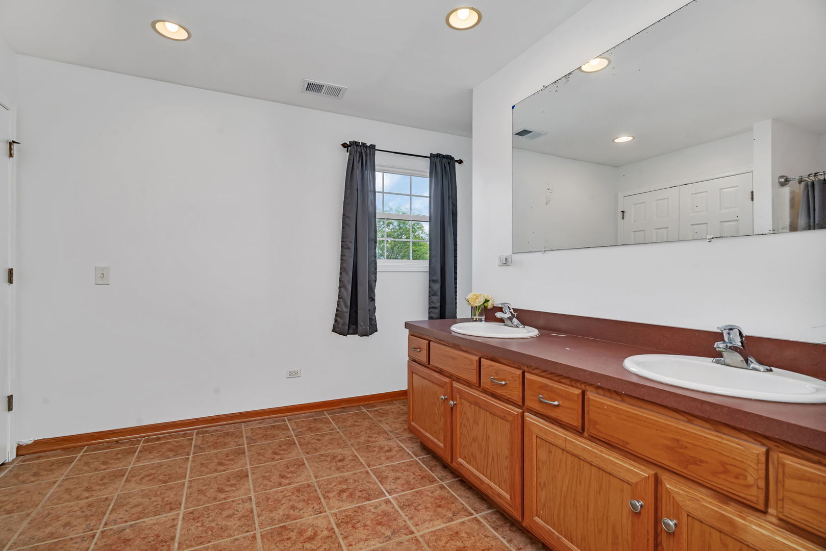 1110 Sandstone Drive Diamond, IL 60416 - Photo 23 of 49 a bathroom with a sink and a mirror