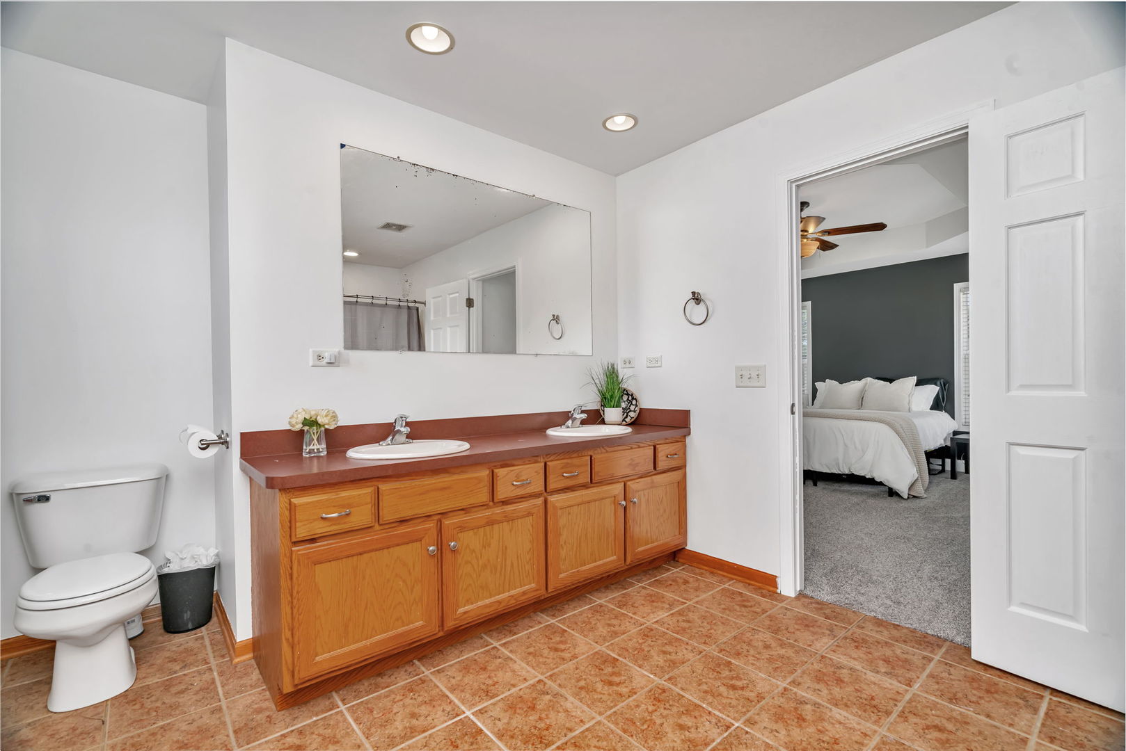 1110 Sandstone Drive Diamond, IL 60416 - Photo 24 of 49 a spacious bathroom with a toilet sink and mirror