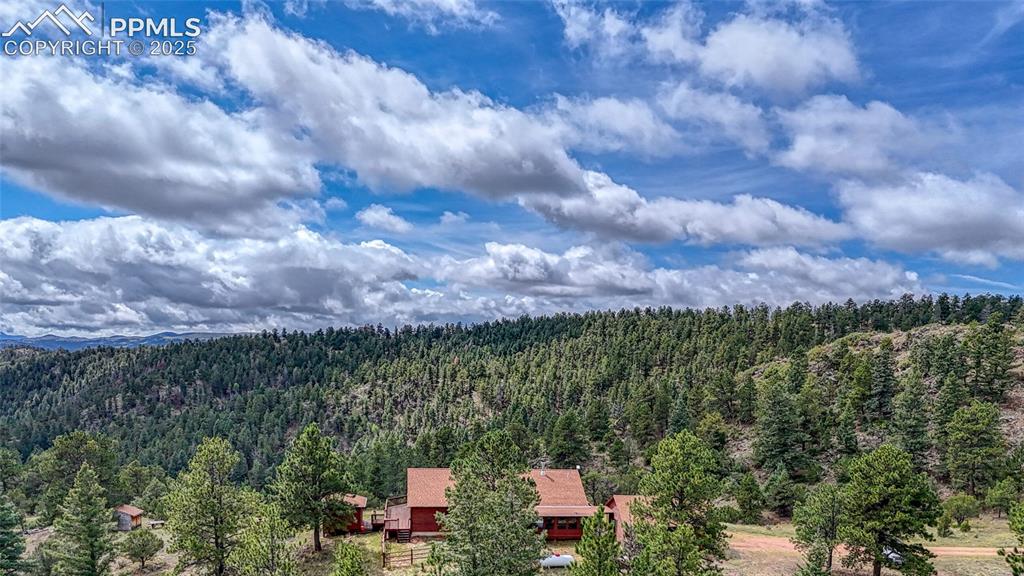 62 Cheyenne Road Florissant, CO 80816 - Photo 31 of 50