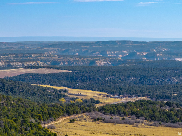 6 South N Frk Road Orderville, UT 84758 - Photo 59 of 68 Drone / aerial view of a forest