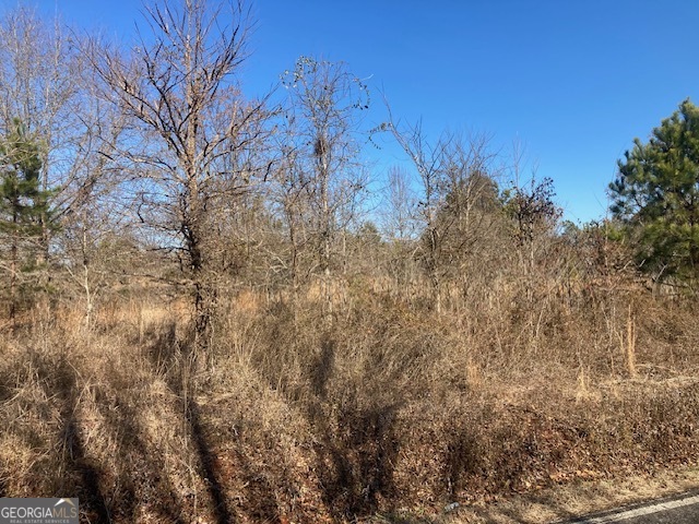 Lot 9 Clubhouse Road Eastman, GA 31023 - Photo 1 of 1 Gallery Image 1
