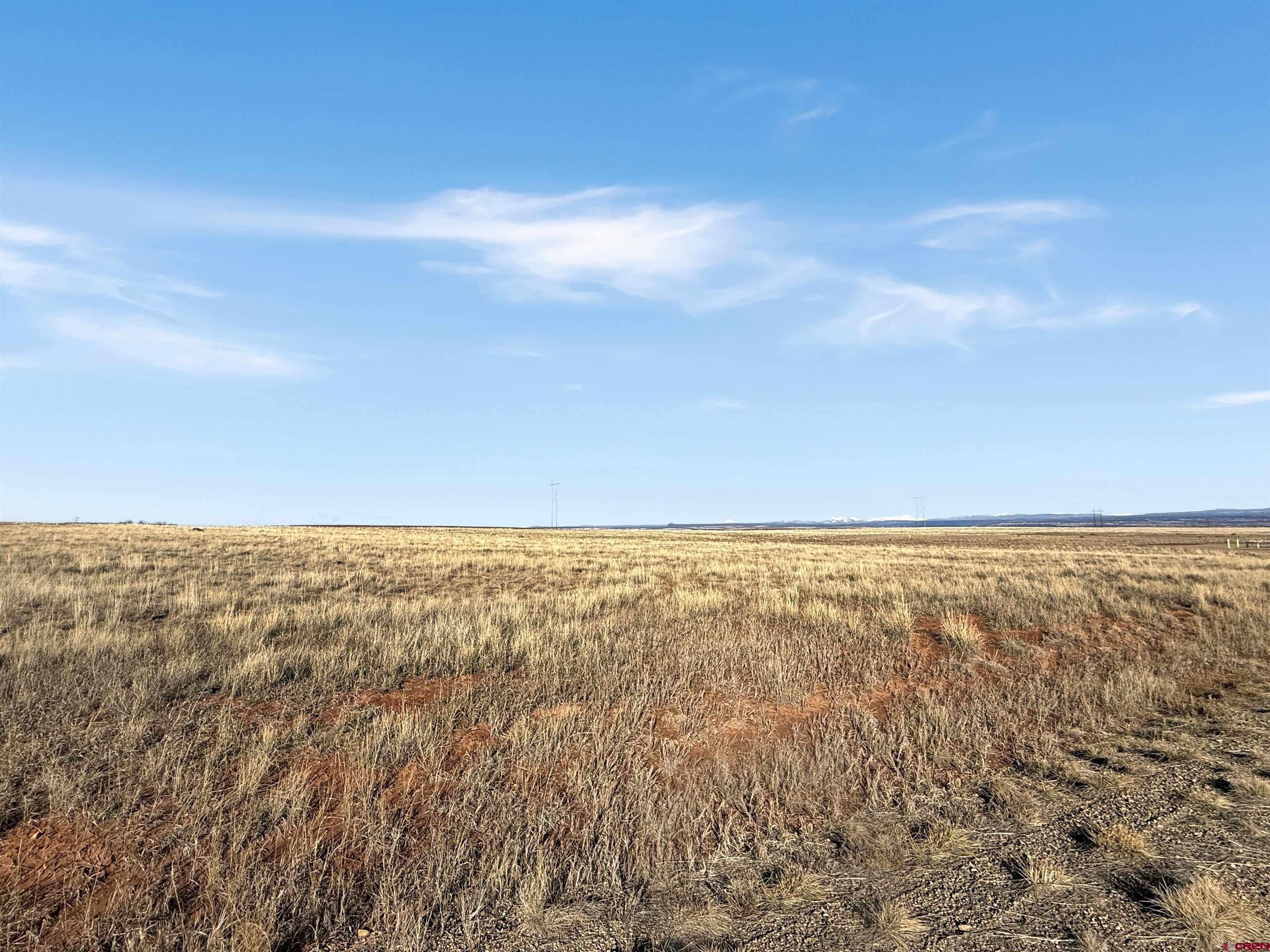 17 Road 17 Cortez, CO 81321 - Photo 11 of 22