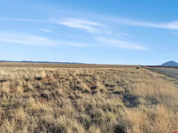 $180,000 | 15600 Road 17, Cortez, CO 81321