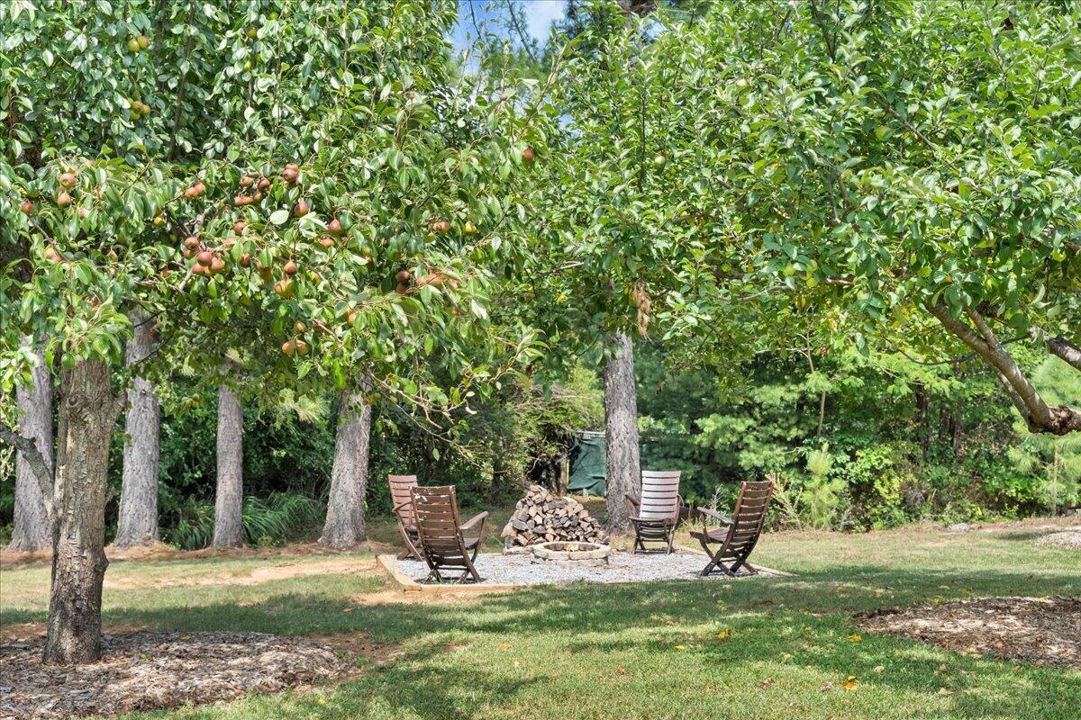 1125 Loyds Store Road Vinton, VA 24179 - Photo 81 of 119 078-MIB06263