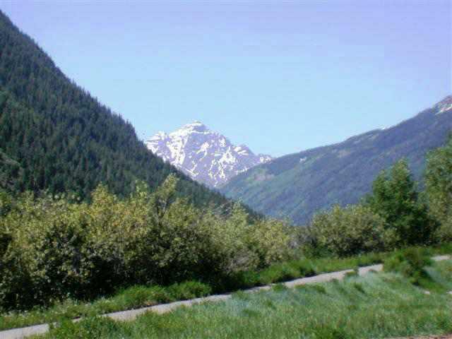 2165 Maroon Creek Road, Unit ROAD Aspen, CO 81611 - Photo 2 of 6 a view of a bunch of trees and bushes