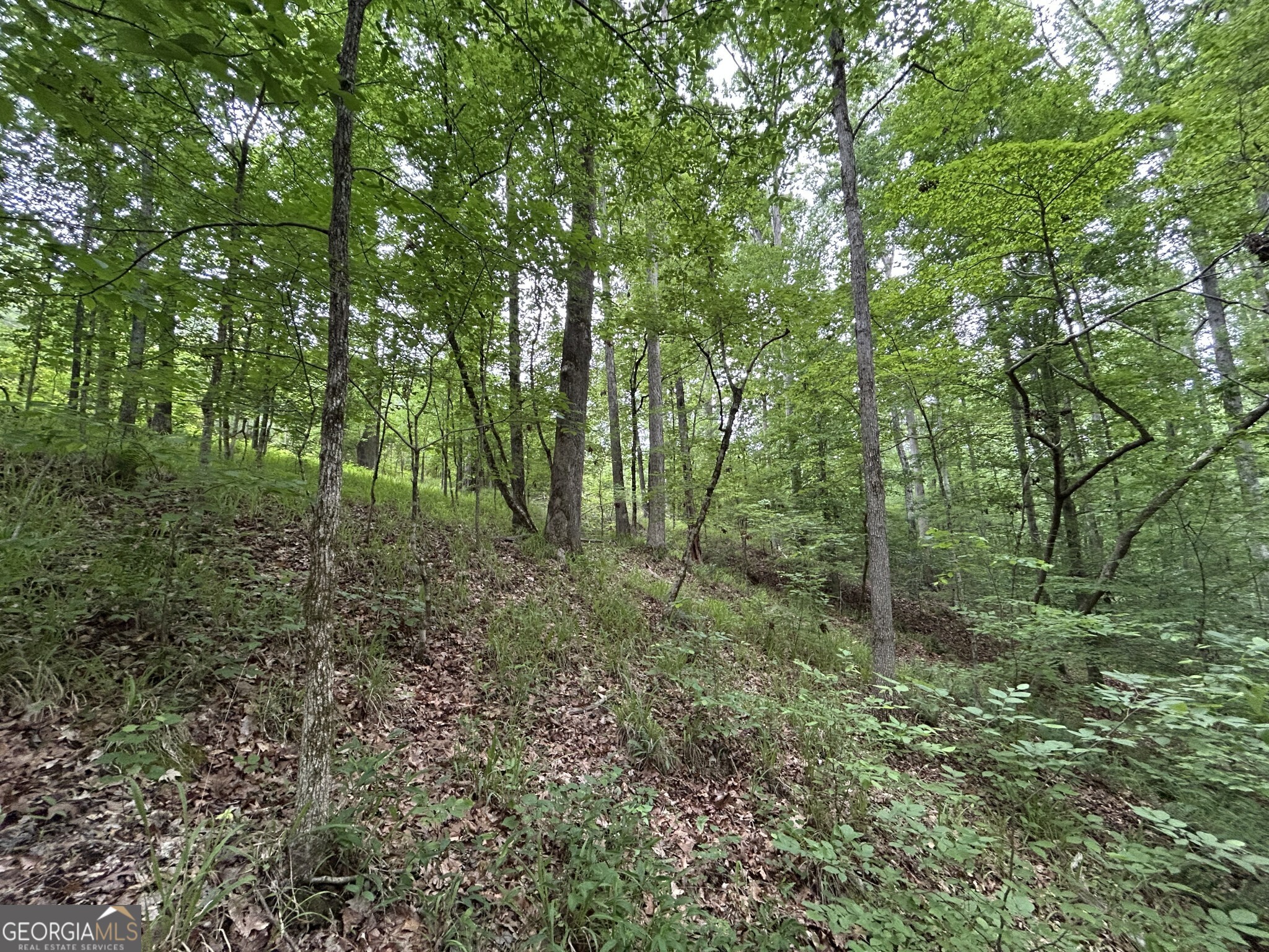 0 Mcdade Road Eatonton, GA 31024 - Photo 15 of 21 a view of outdoor space and green space