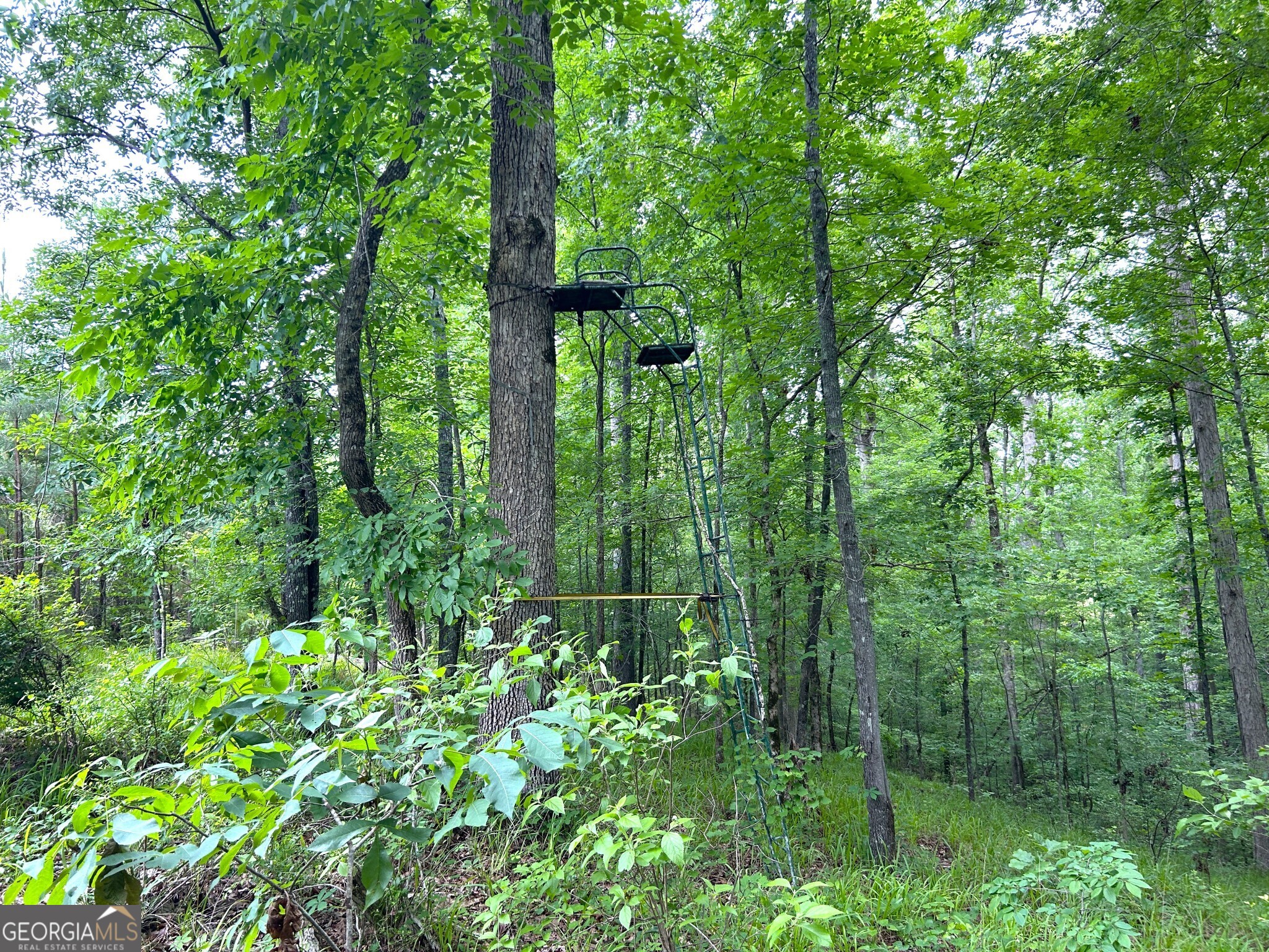 0 Mcdade Road Eatonton, GA 31024 - Photo 2 of 21