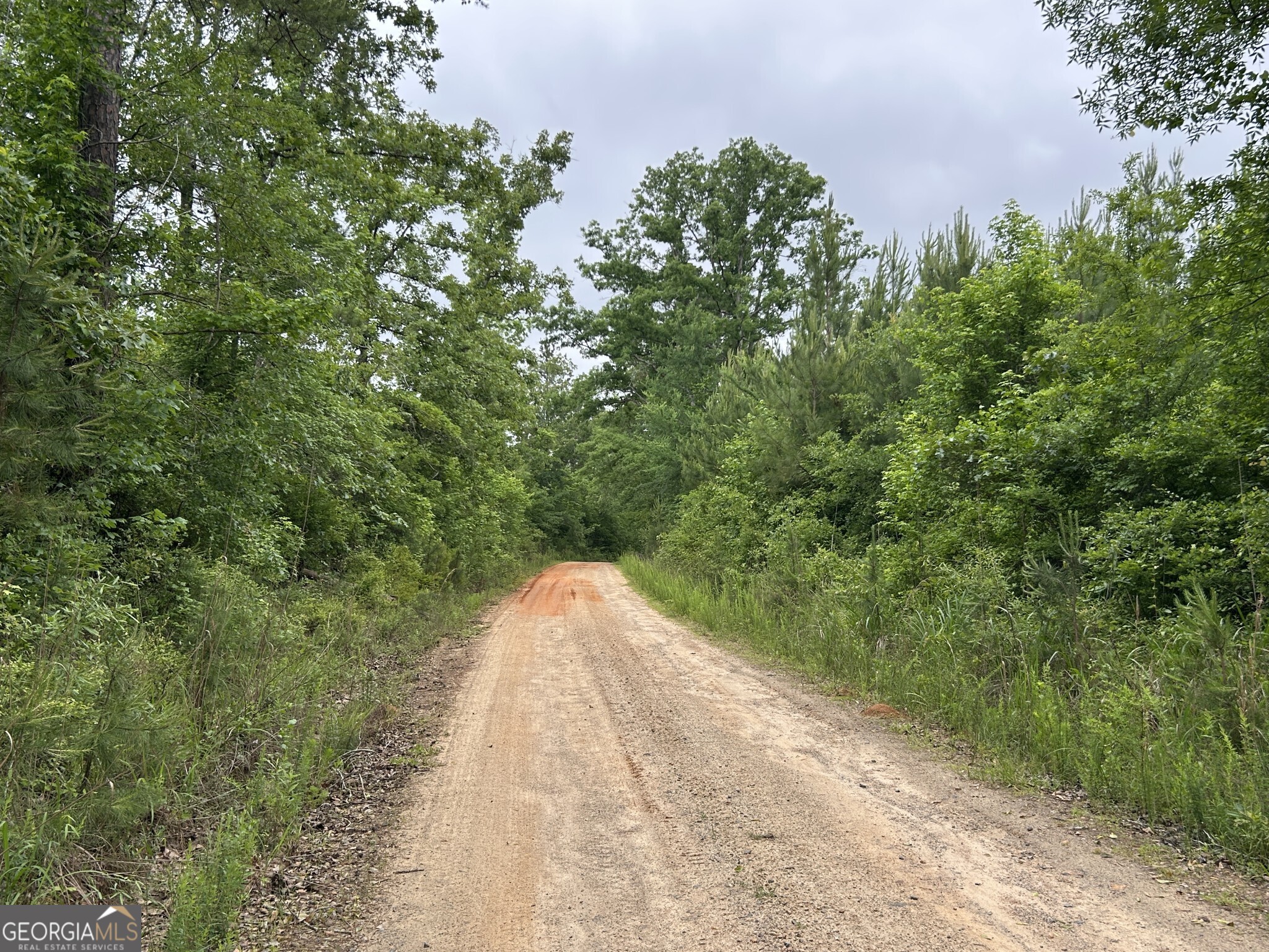 0 Mcdade Road Eatonton, GA 31024 - Photo 21 of 21 a view of a backyard of the house