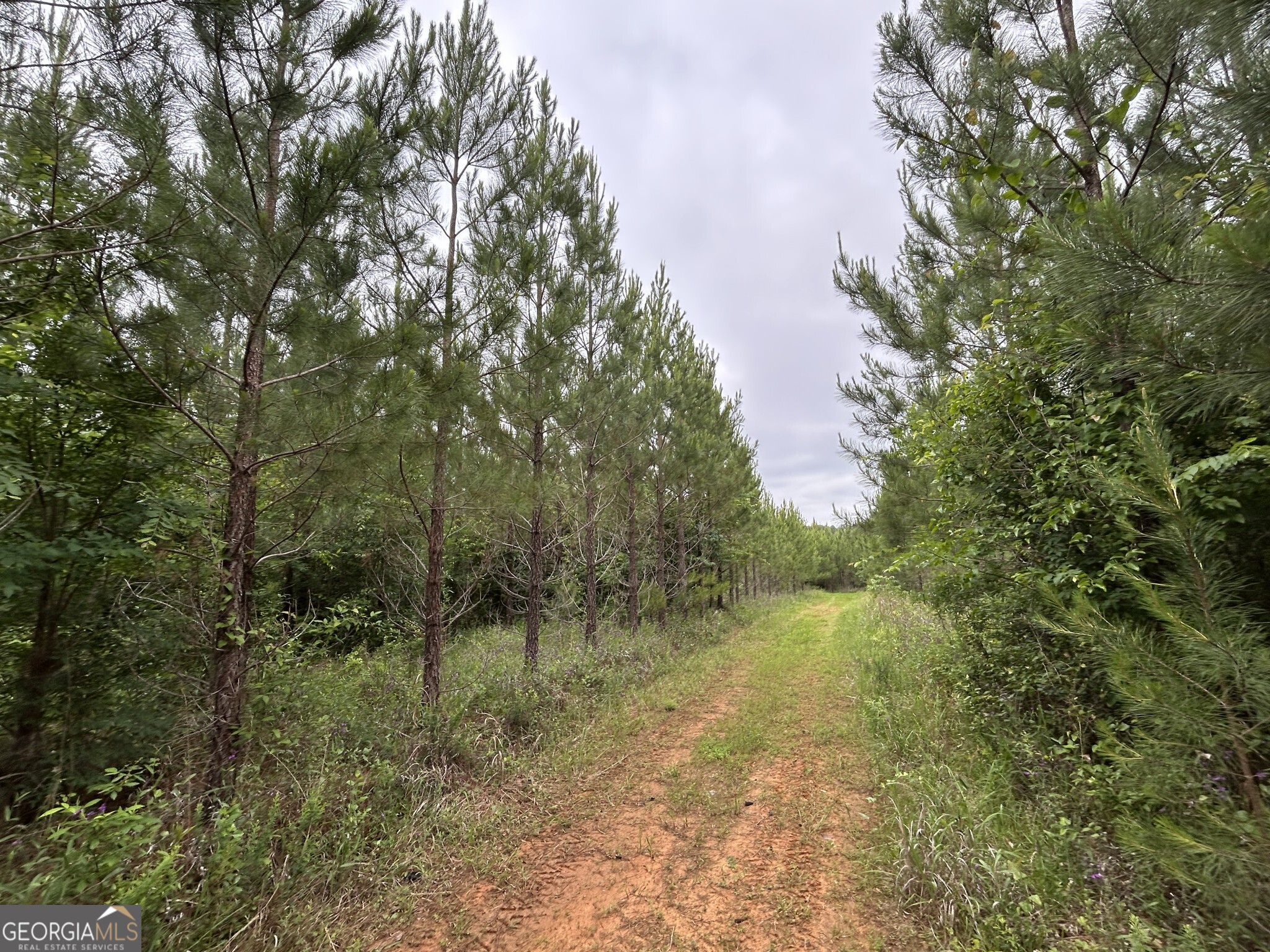 0 Mcdade Road Eatonton, GA 31024 - Photo 3 of 21 a view of a lake with lots of green space