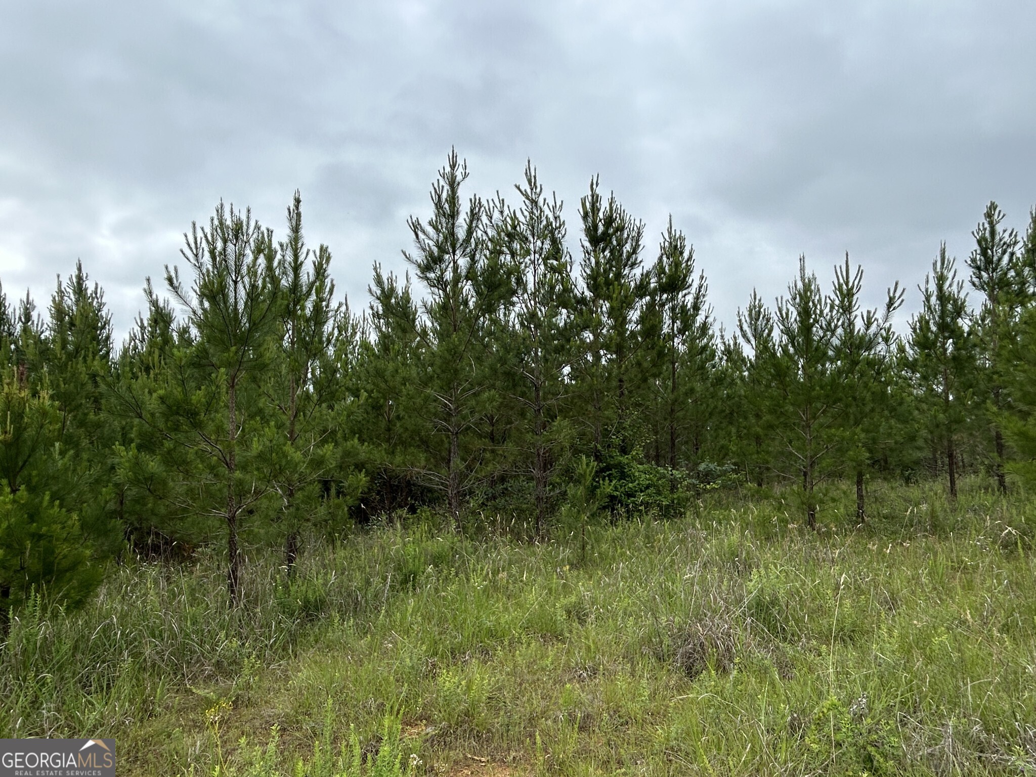 0 Mcdade Road Eatonton, GA 31024 - Photo 7 of 21 a view of a garden
