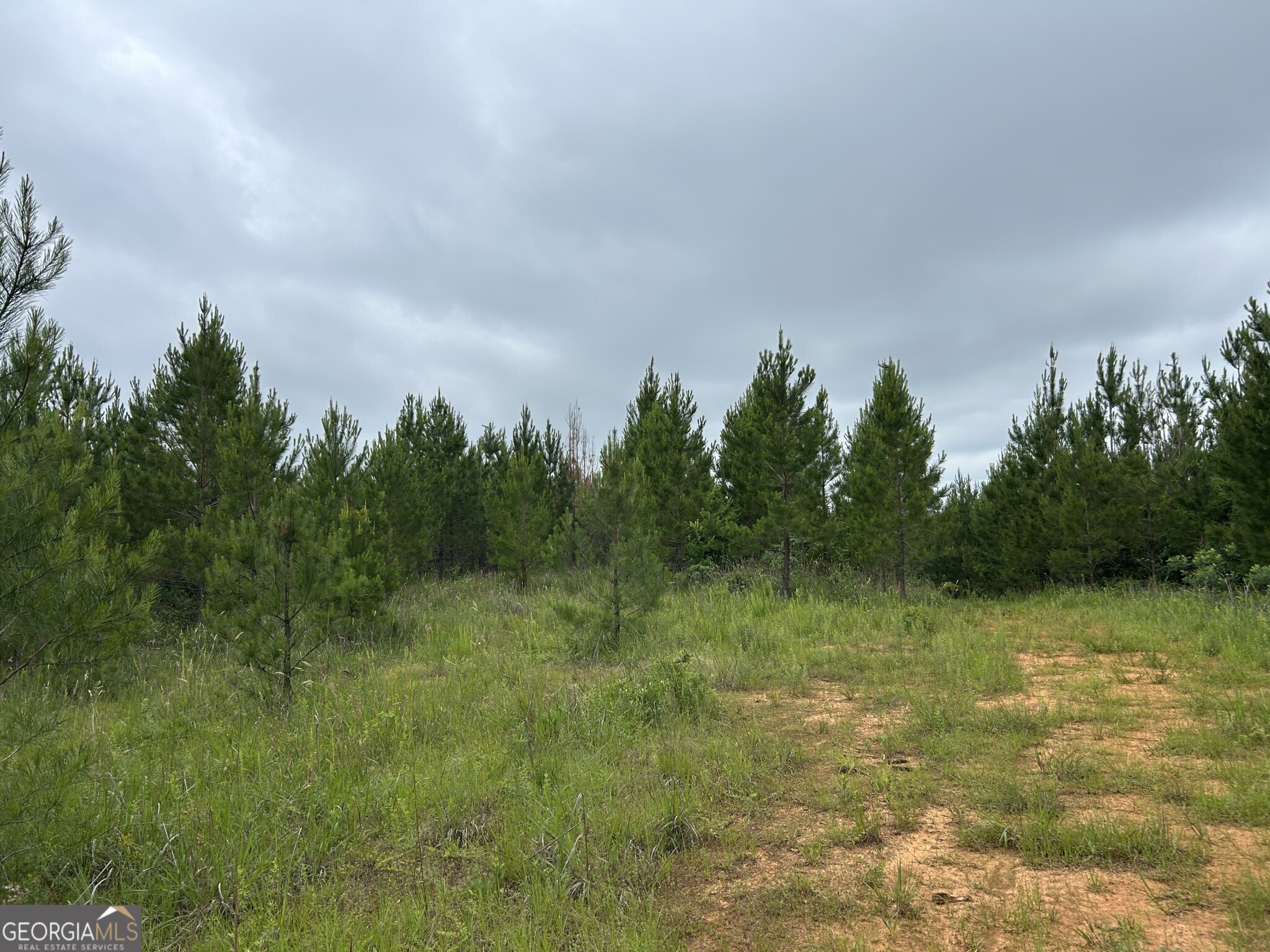 0 Mcdade Road Eatonton, GA 31024 - Photo 10 of 21 a view of a lake with houses in the back