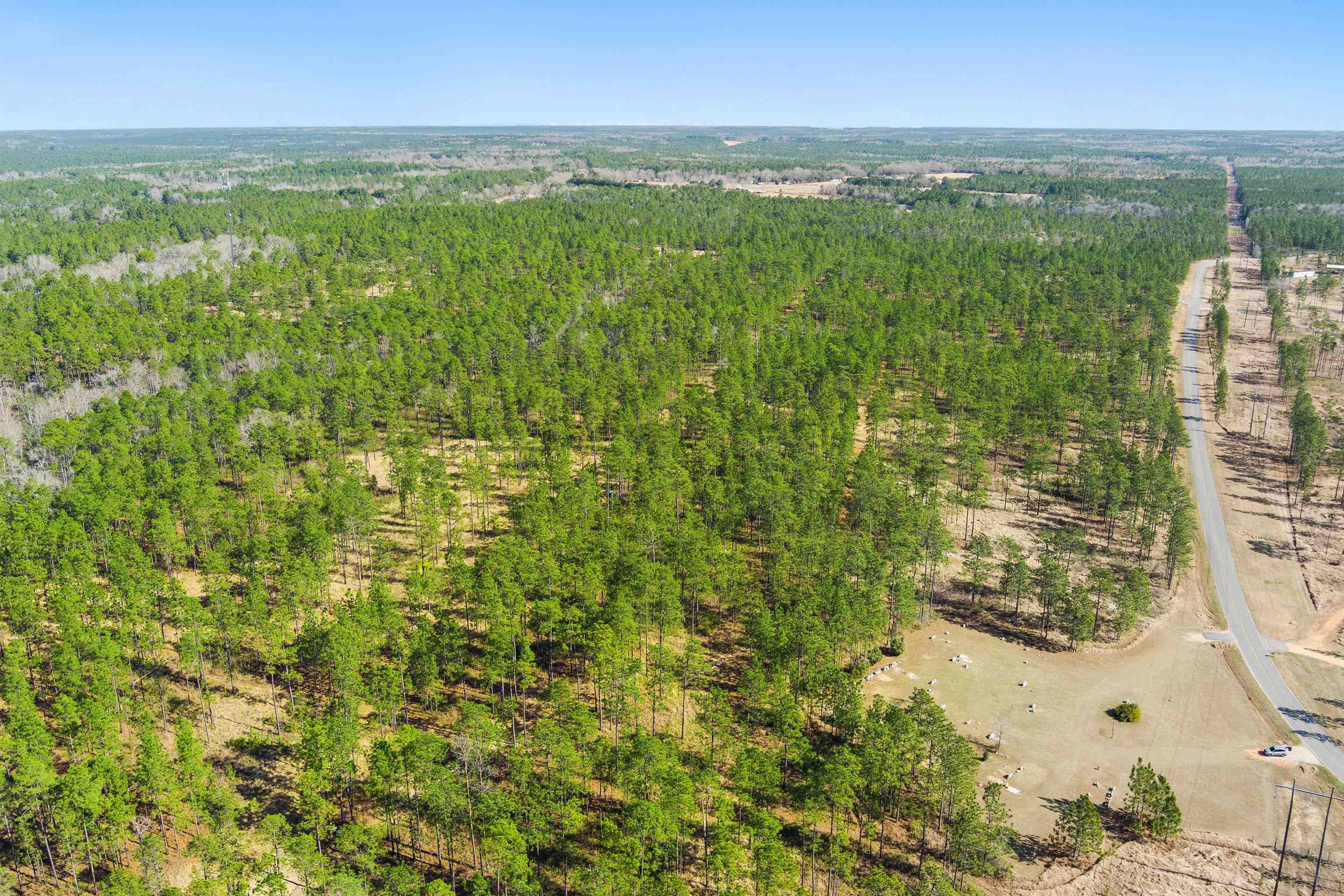 0 Robert White Road Bay Minette, AL 36507 - Photo 14 of 23