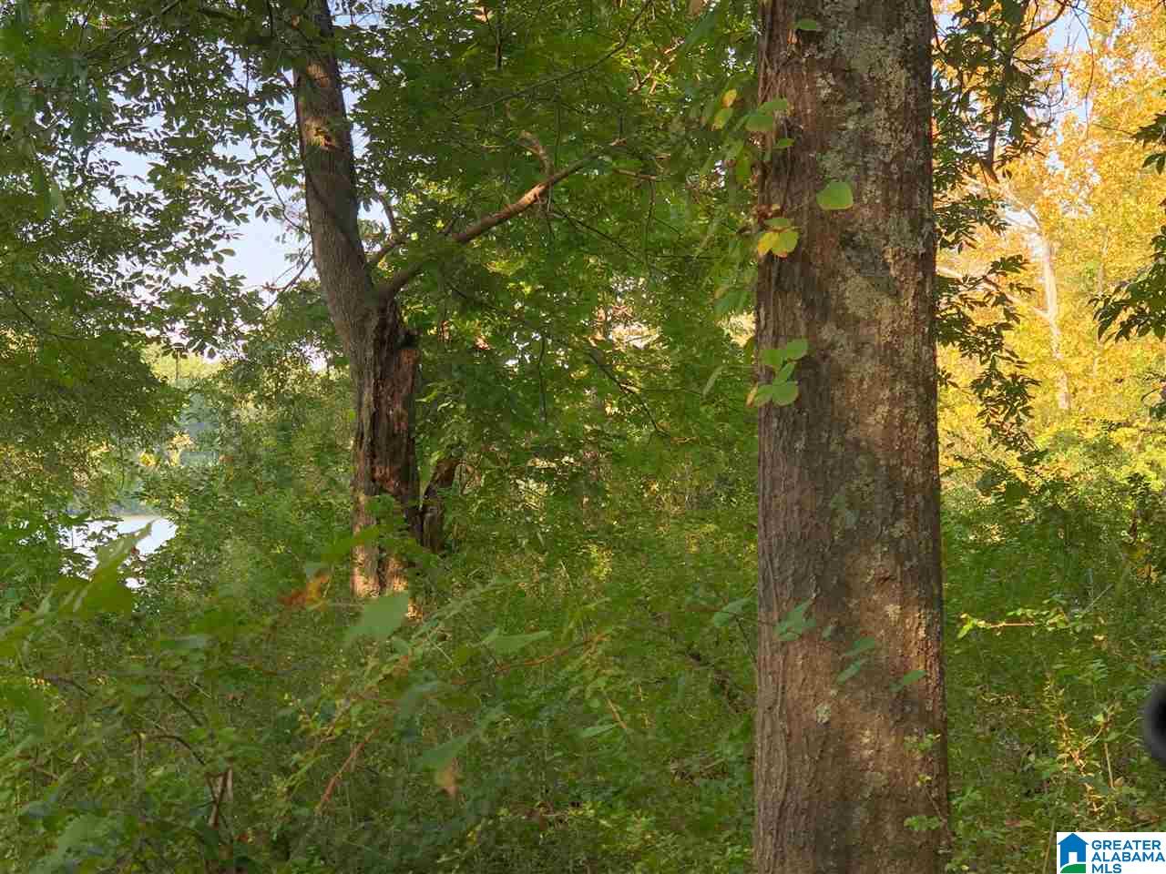 0 Brooks Road Ragland, AL 35131 - Photo 16 of 49